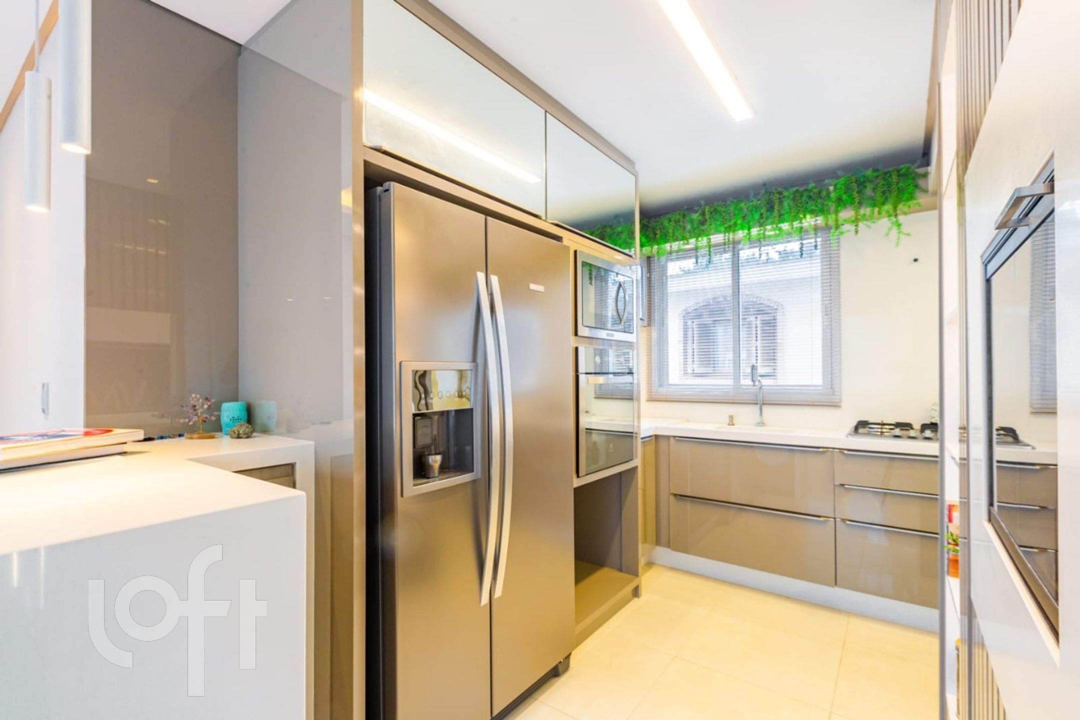 Imagem da propriedade 10