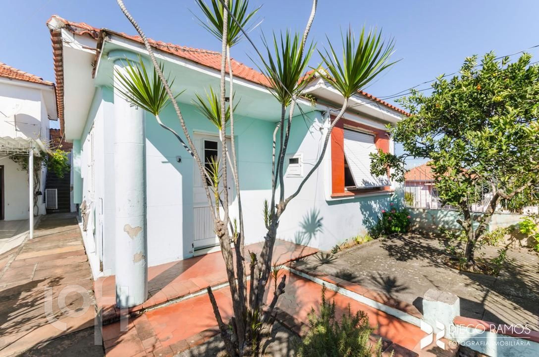 Imagem da propriedade 19