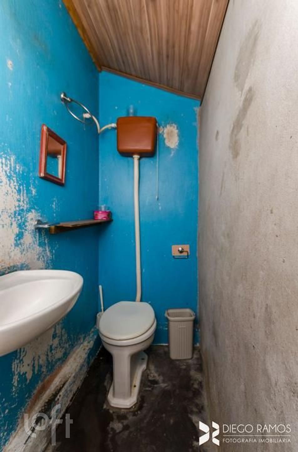 Imagem da propriedade 15