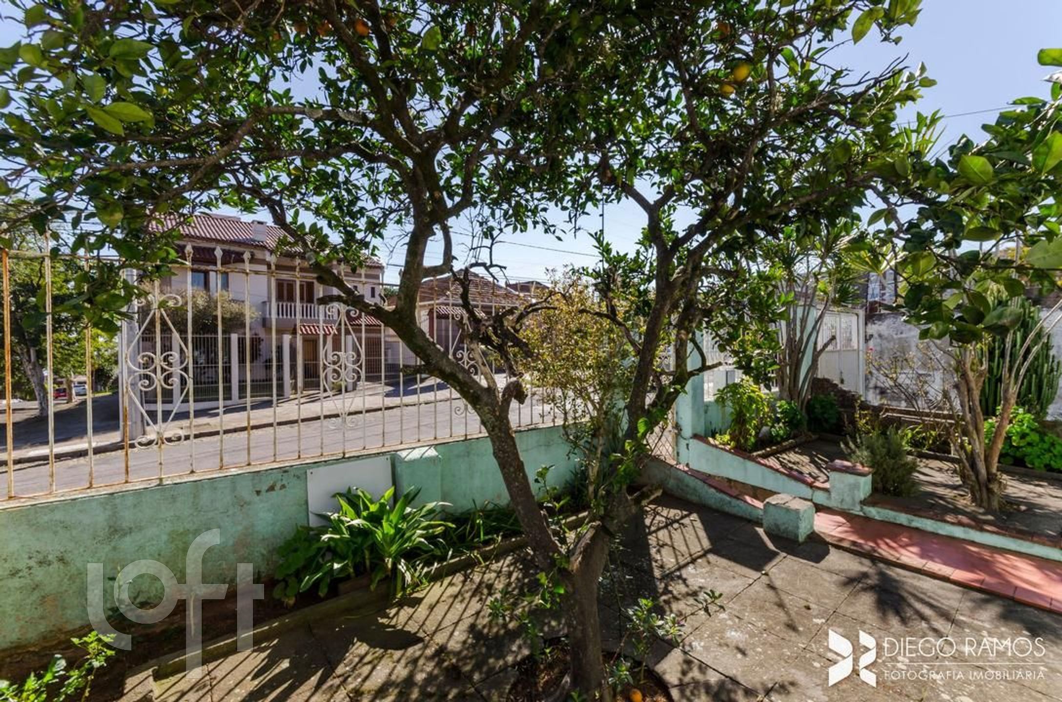 Imagem da propriedade 21