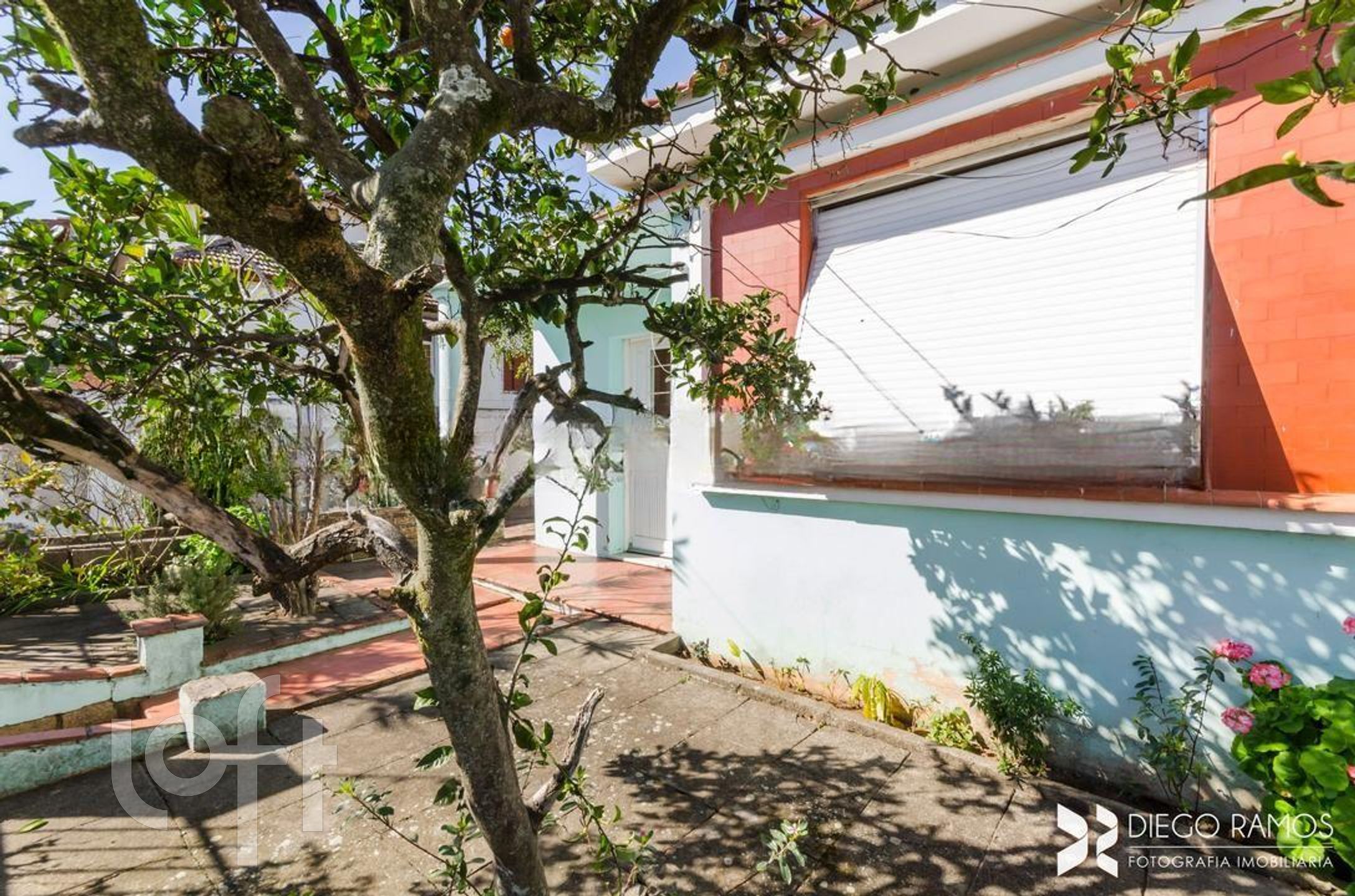 Imagem da propriedade 20