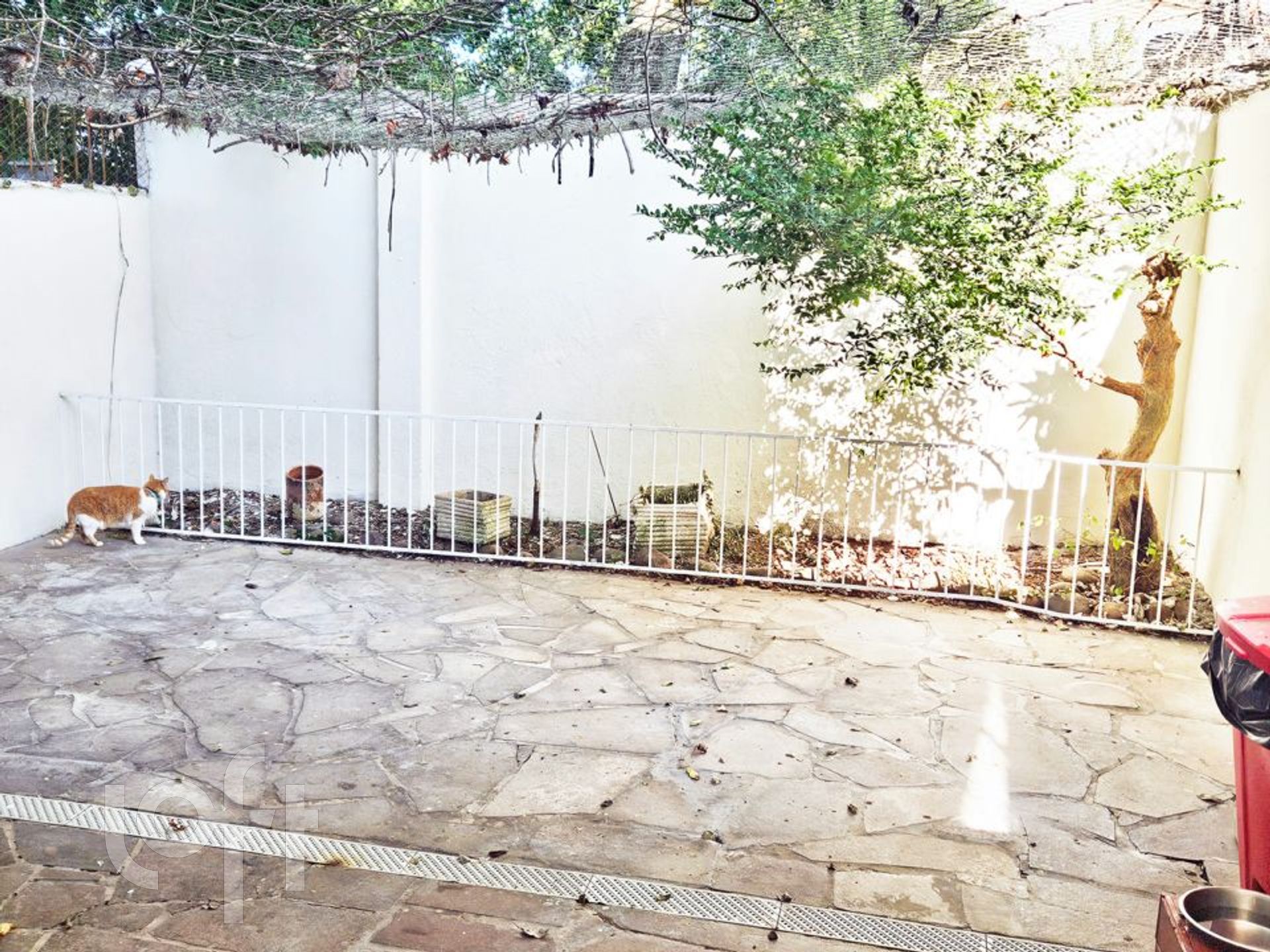 Imagem da propriedade 16