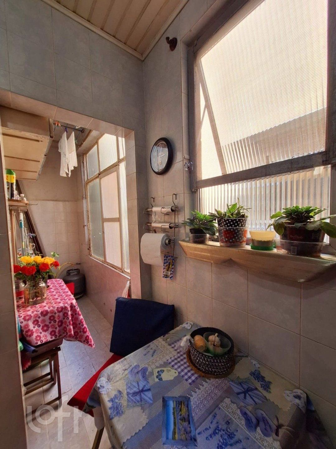 Imagem da propriedade 10