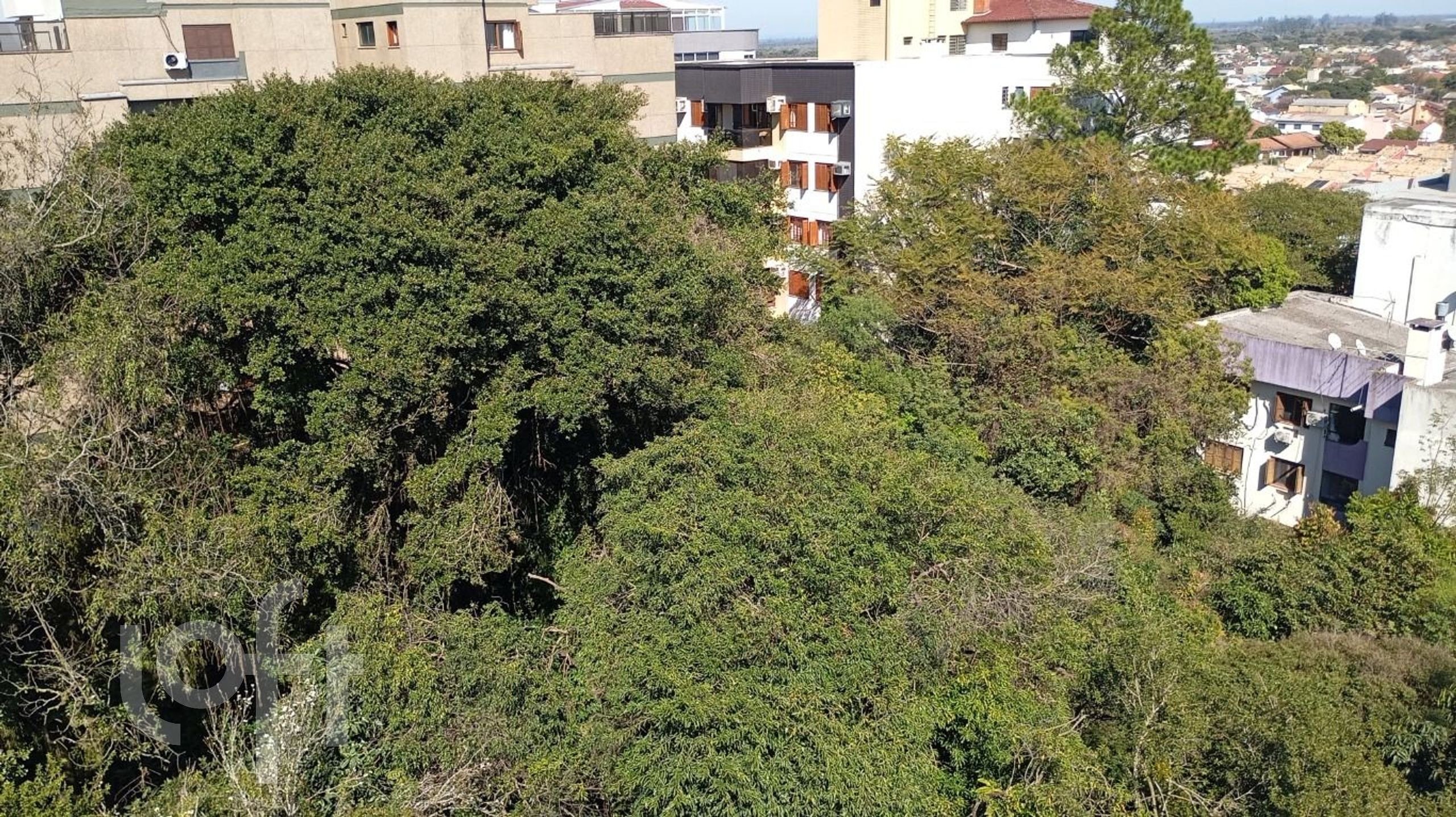 Imagem da propriedade 67