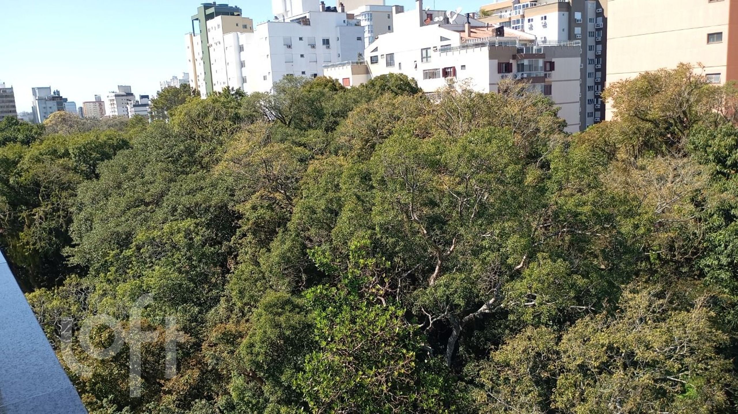 Imagem da propriedade 66