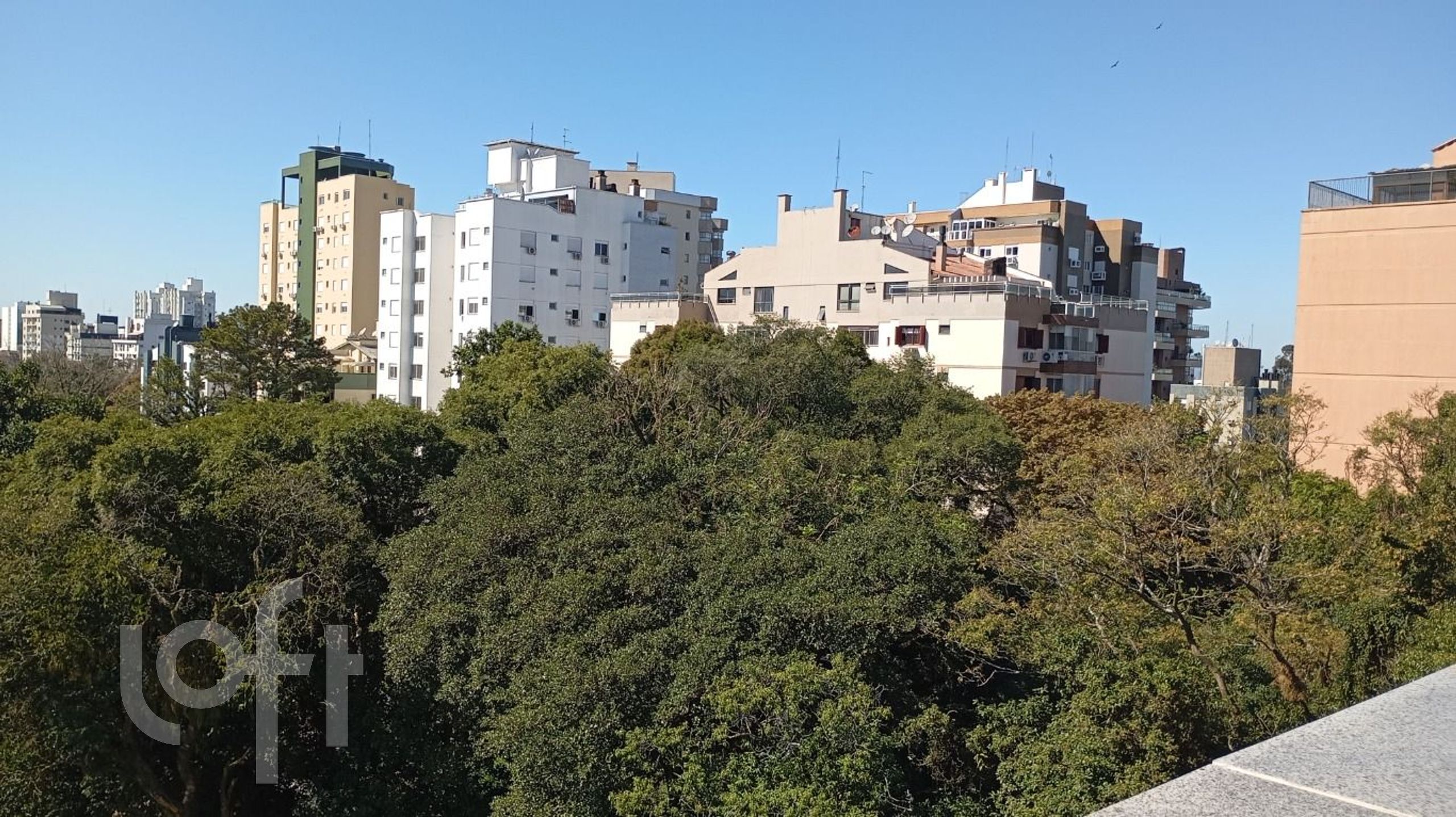 Imagem da propriedade 53