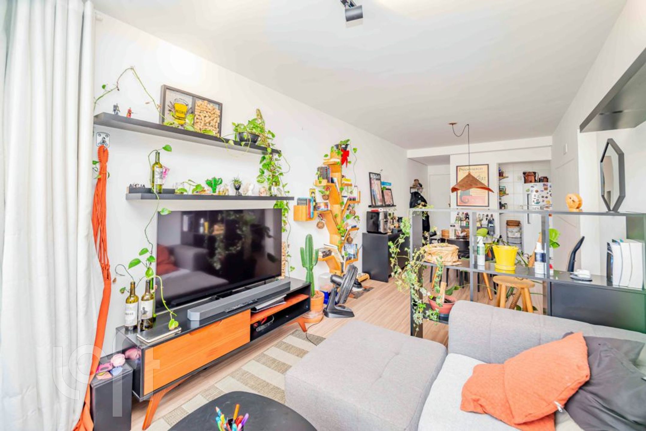 Imagem da propriedade 5