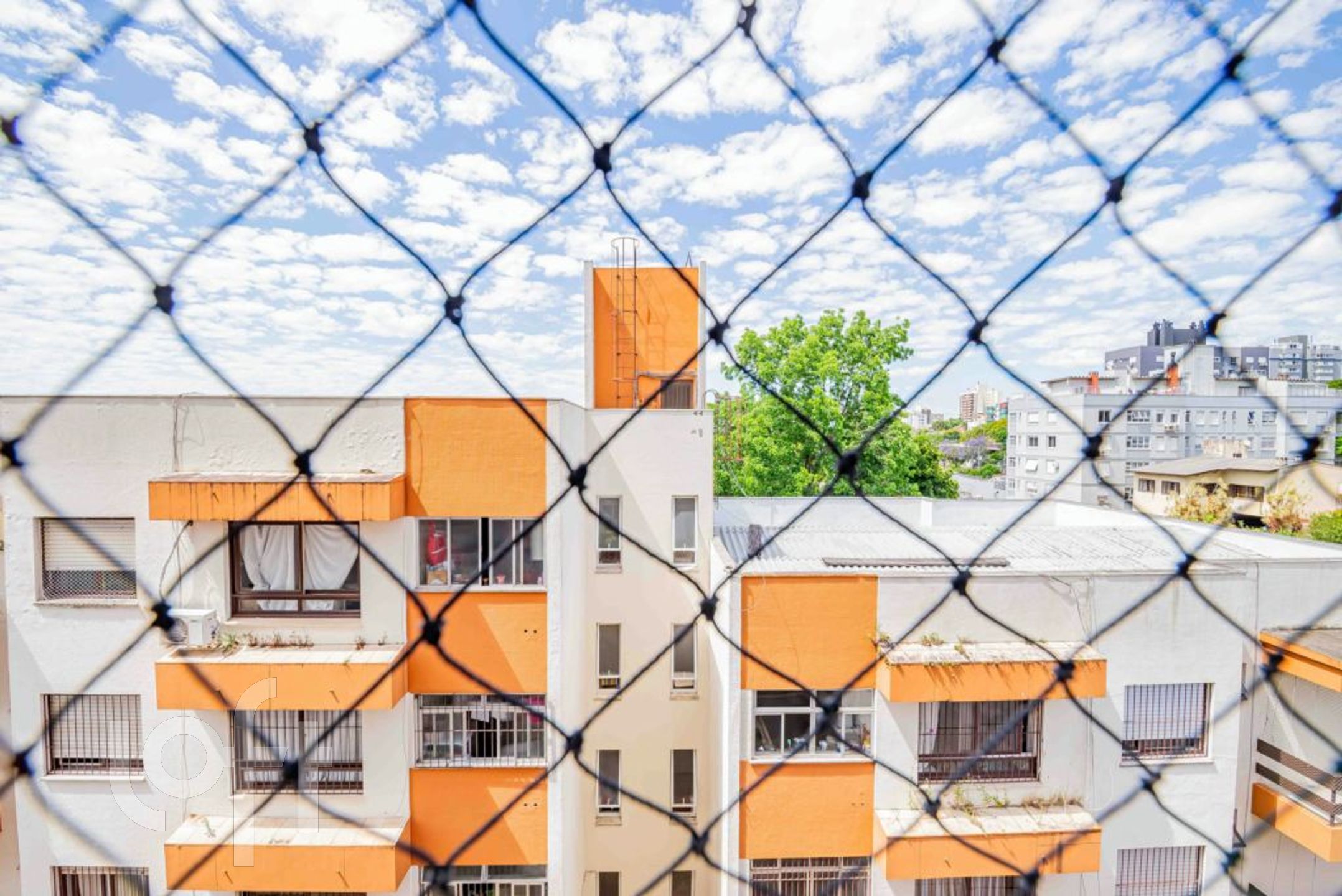 Imagem da propriedade 10