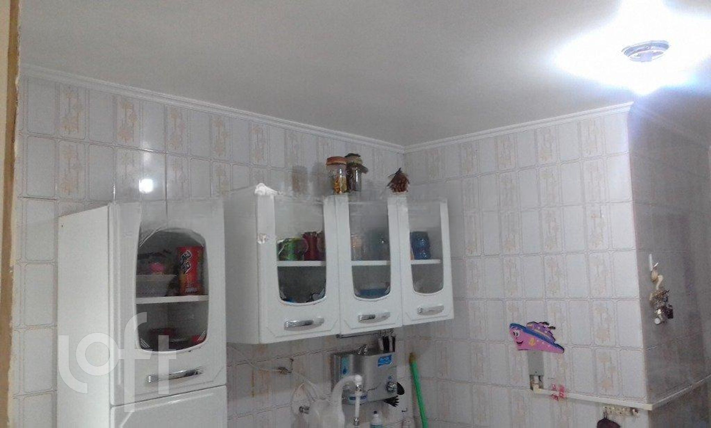 Imagem da propriedade 6