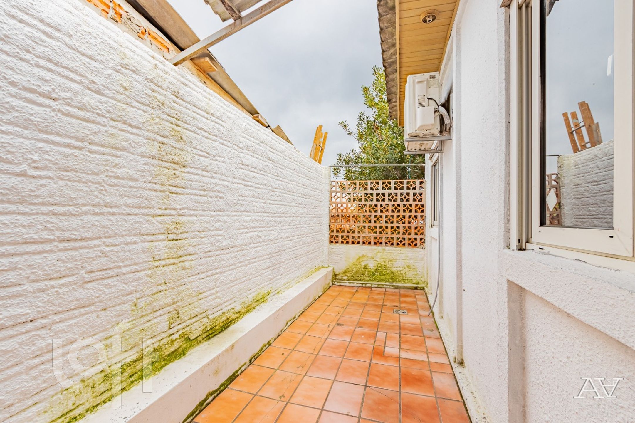 Imagem da propriedade 13