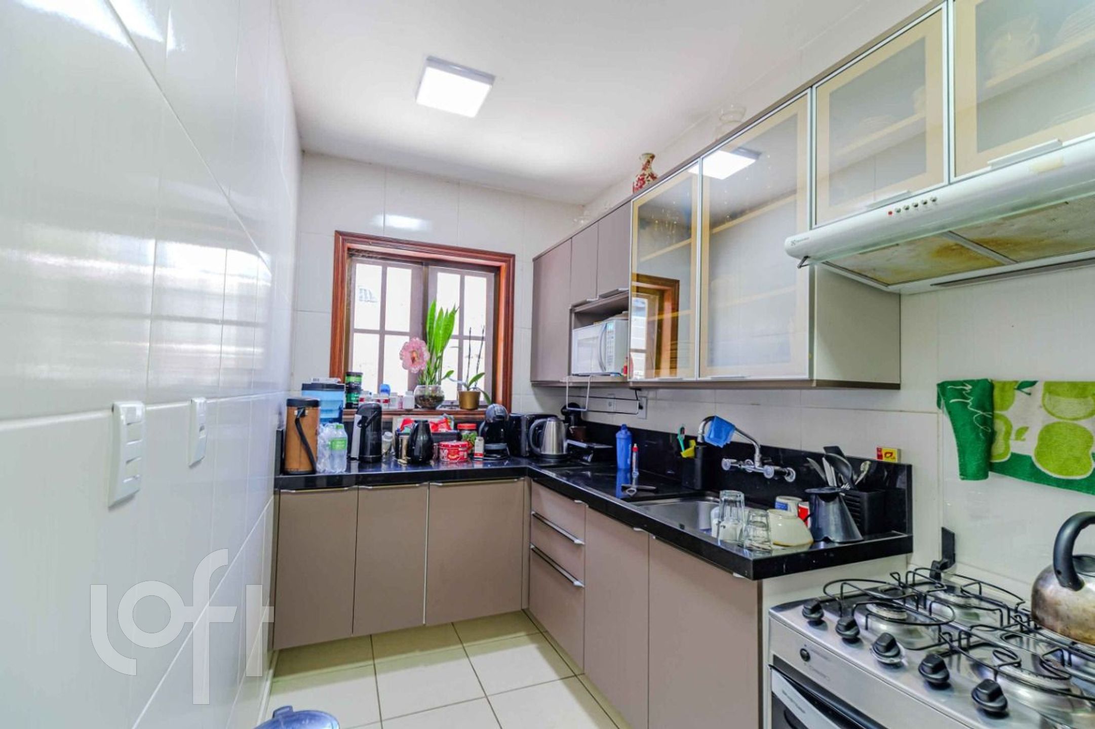 Imagem da propriedade 6