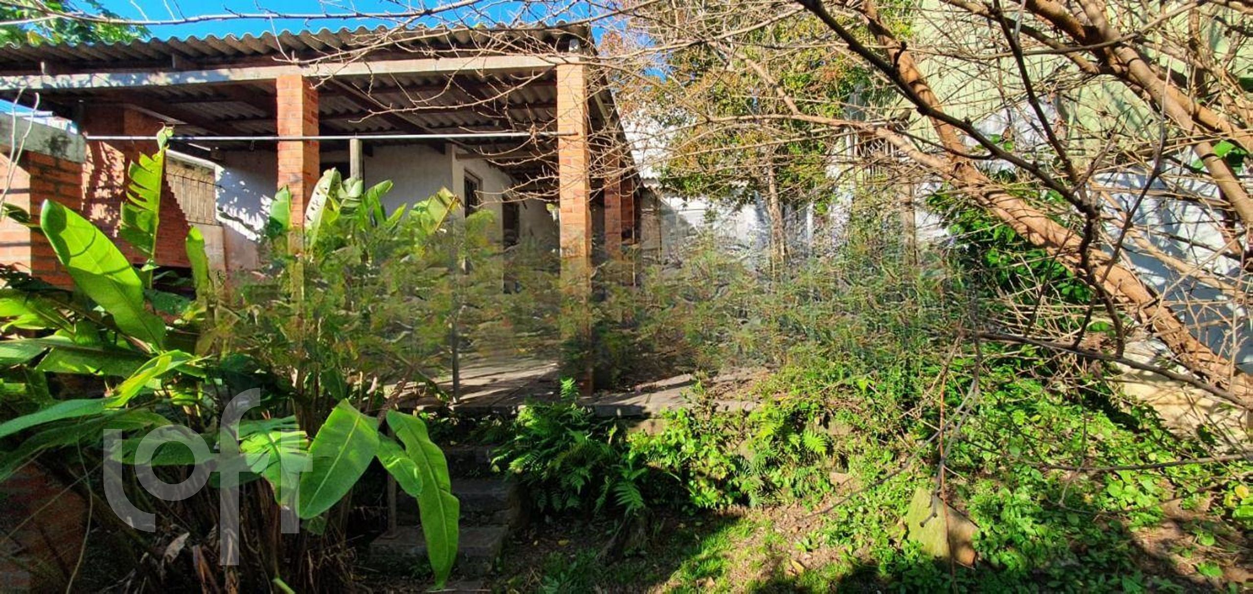 Imagem da propriedade 18