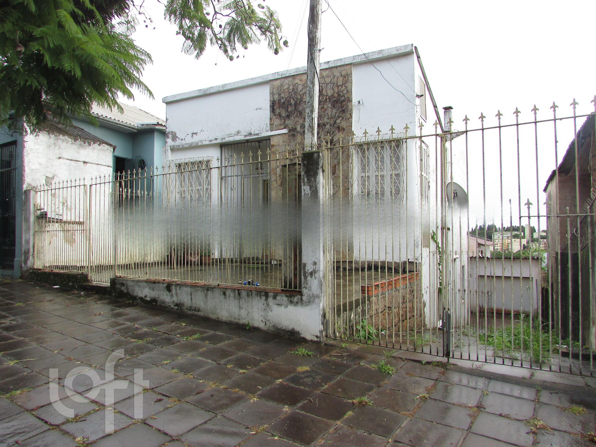 Imagem da propriedade 3