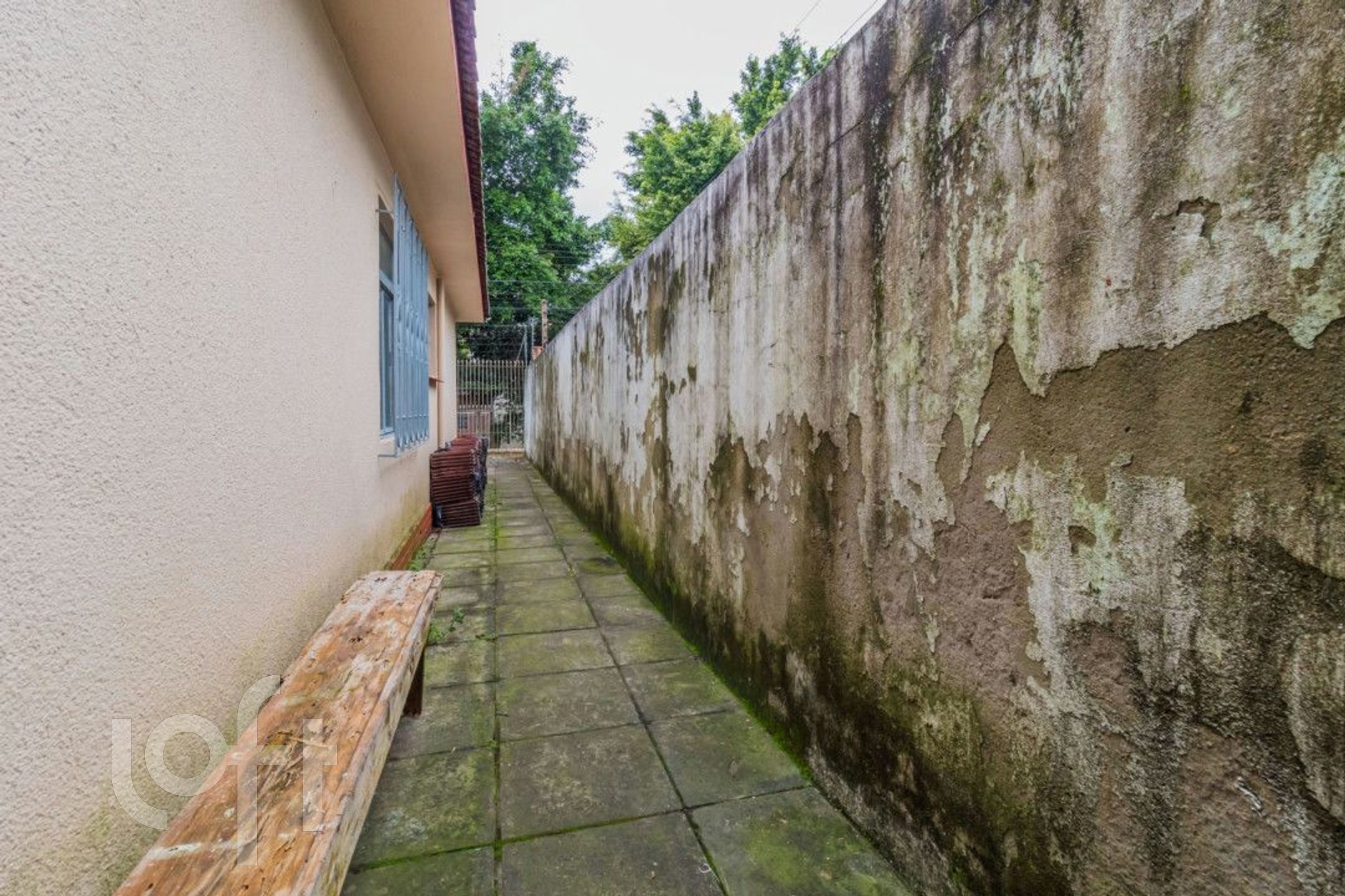 Imagem da propriedade 29