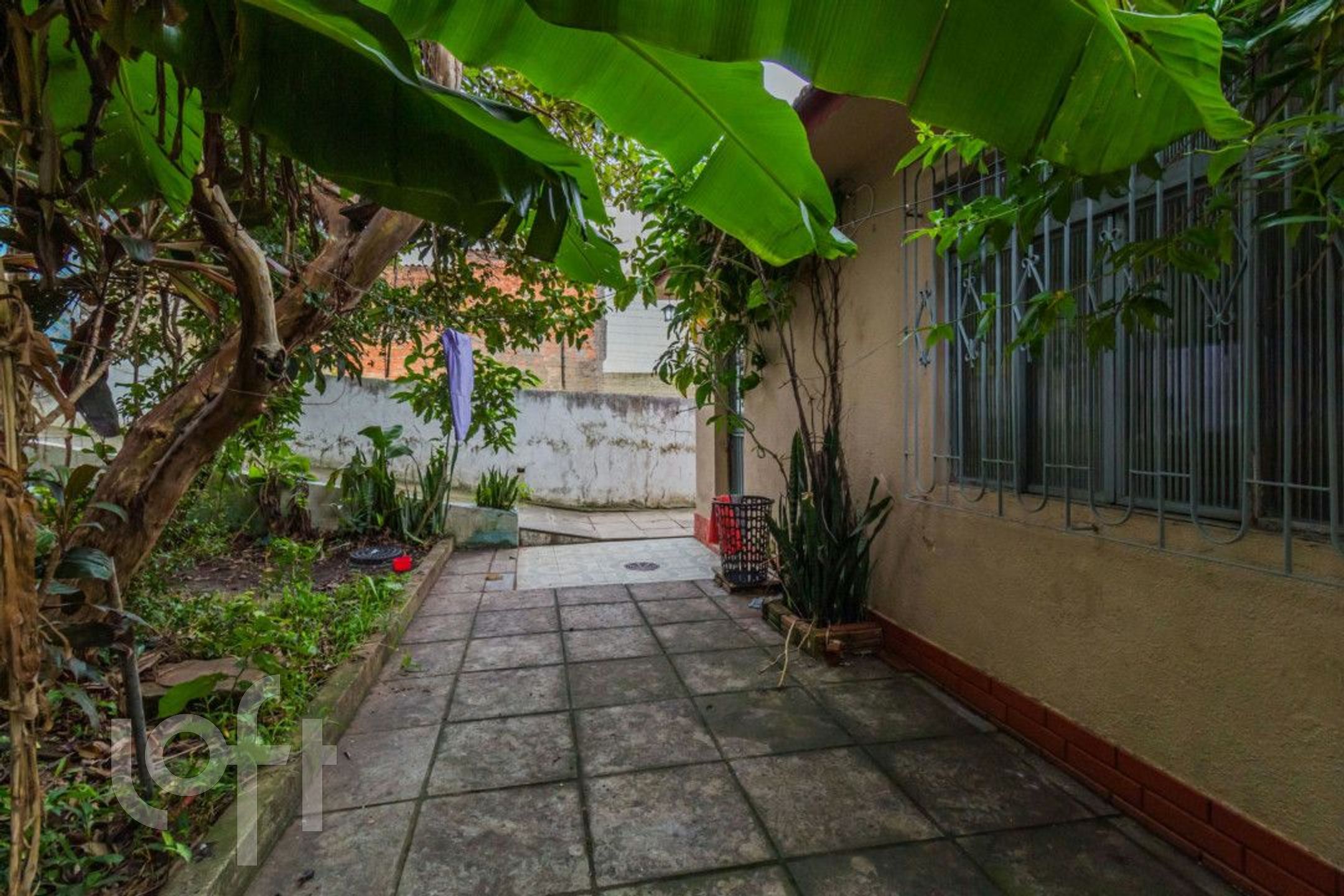 Imagem da propriedade 28