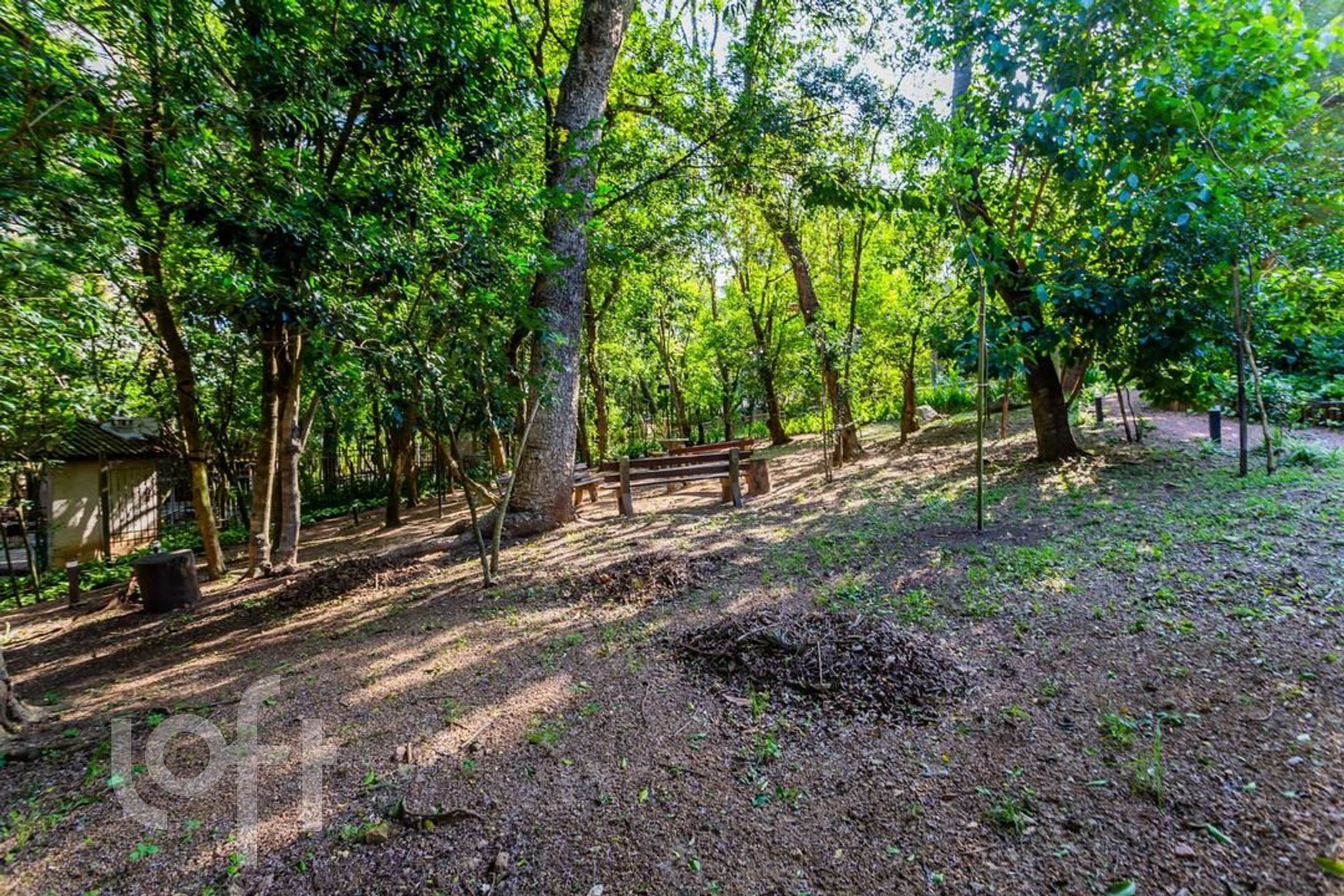 Imagem da propriedade 41