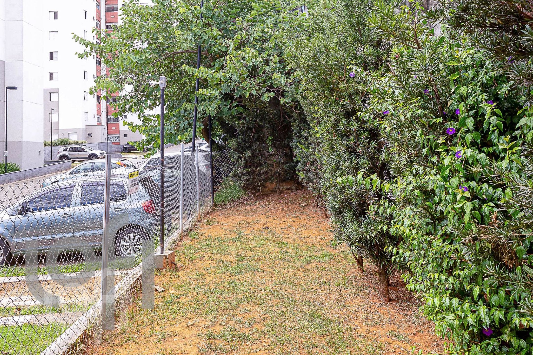 Imagem da propriedade PU1ss1447 38