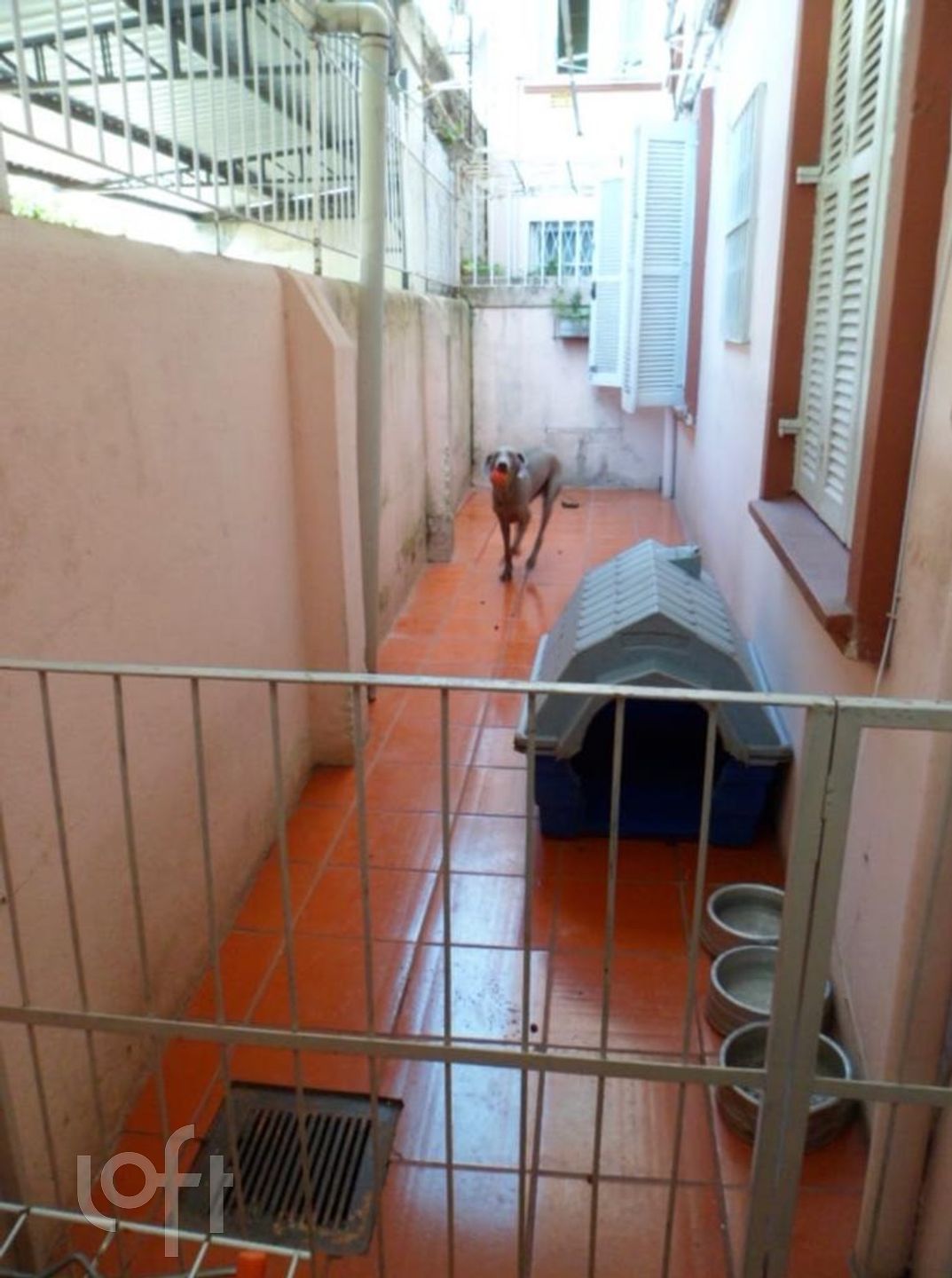 Imagem da propriedade 12