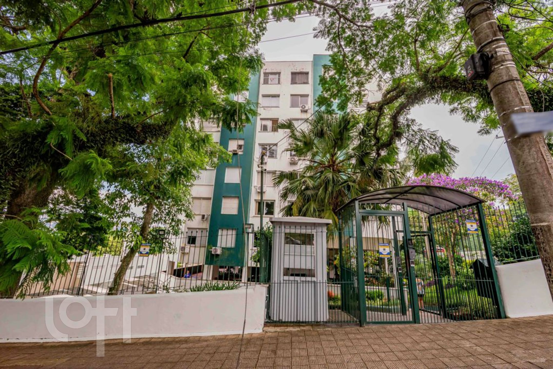 Imagem da propriedade 31