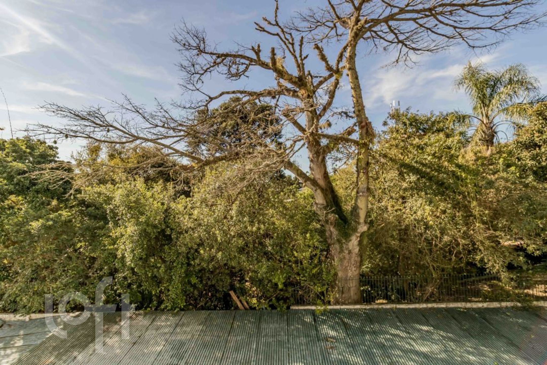 Imagem da propriedade 14