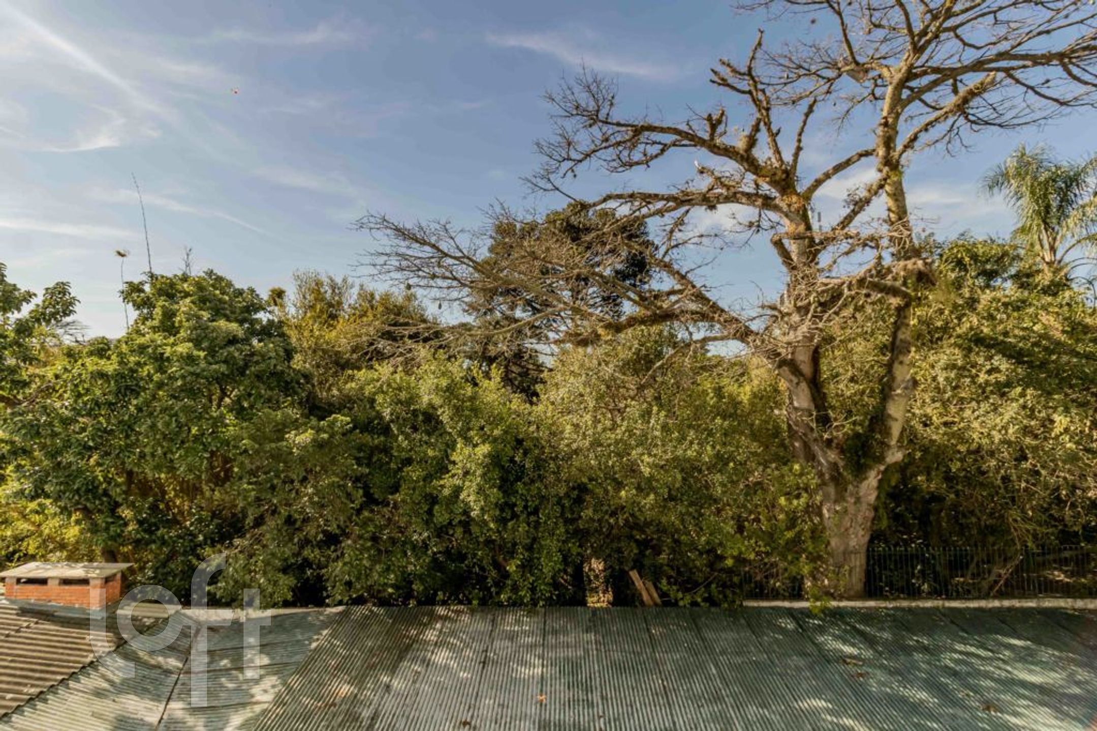 Imagem da propriedade 20