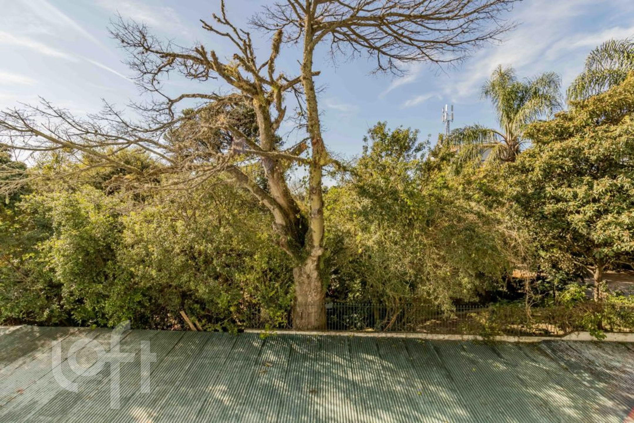 Imagem da propriedade 9