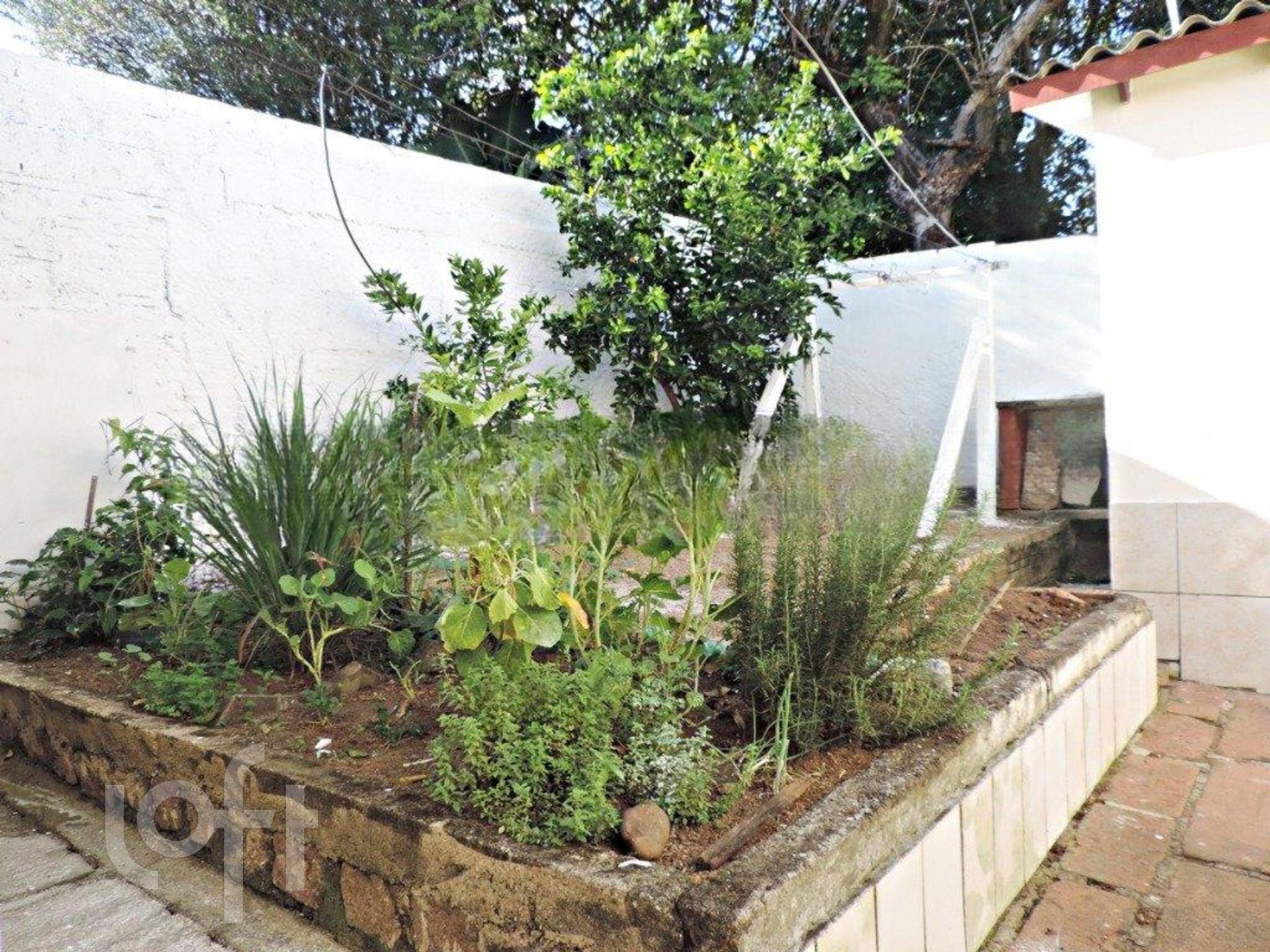 Imagem da propriedade 36