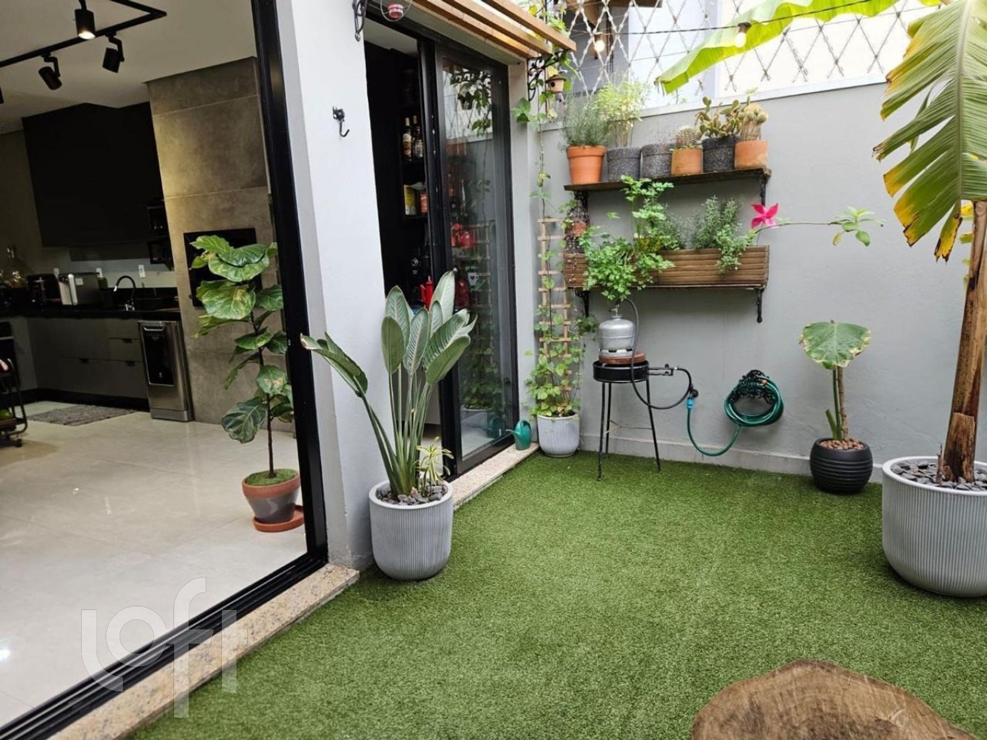 Imagem da propriedade 6