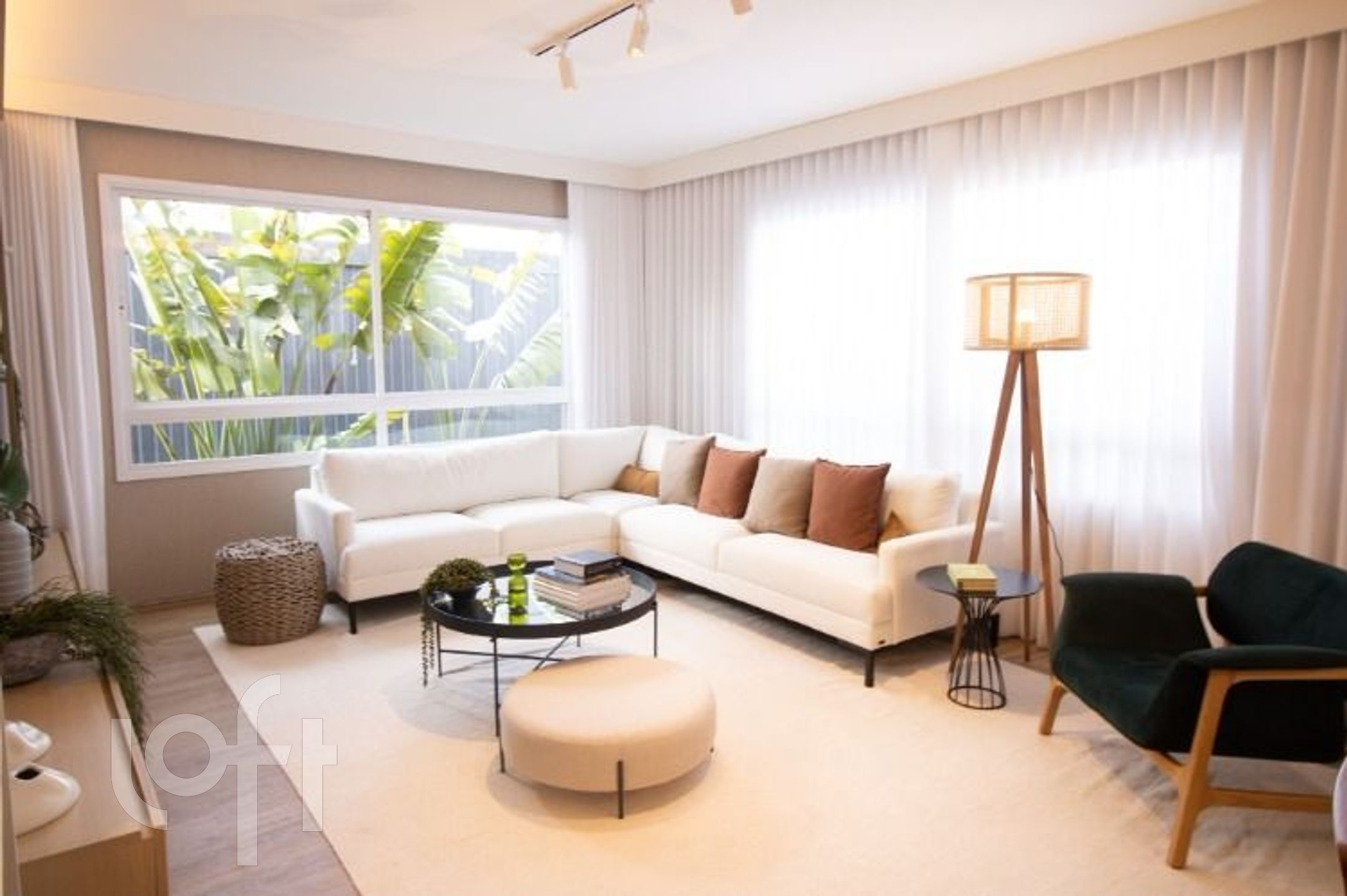 Imagem da propriedade 3