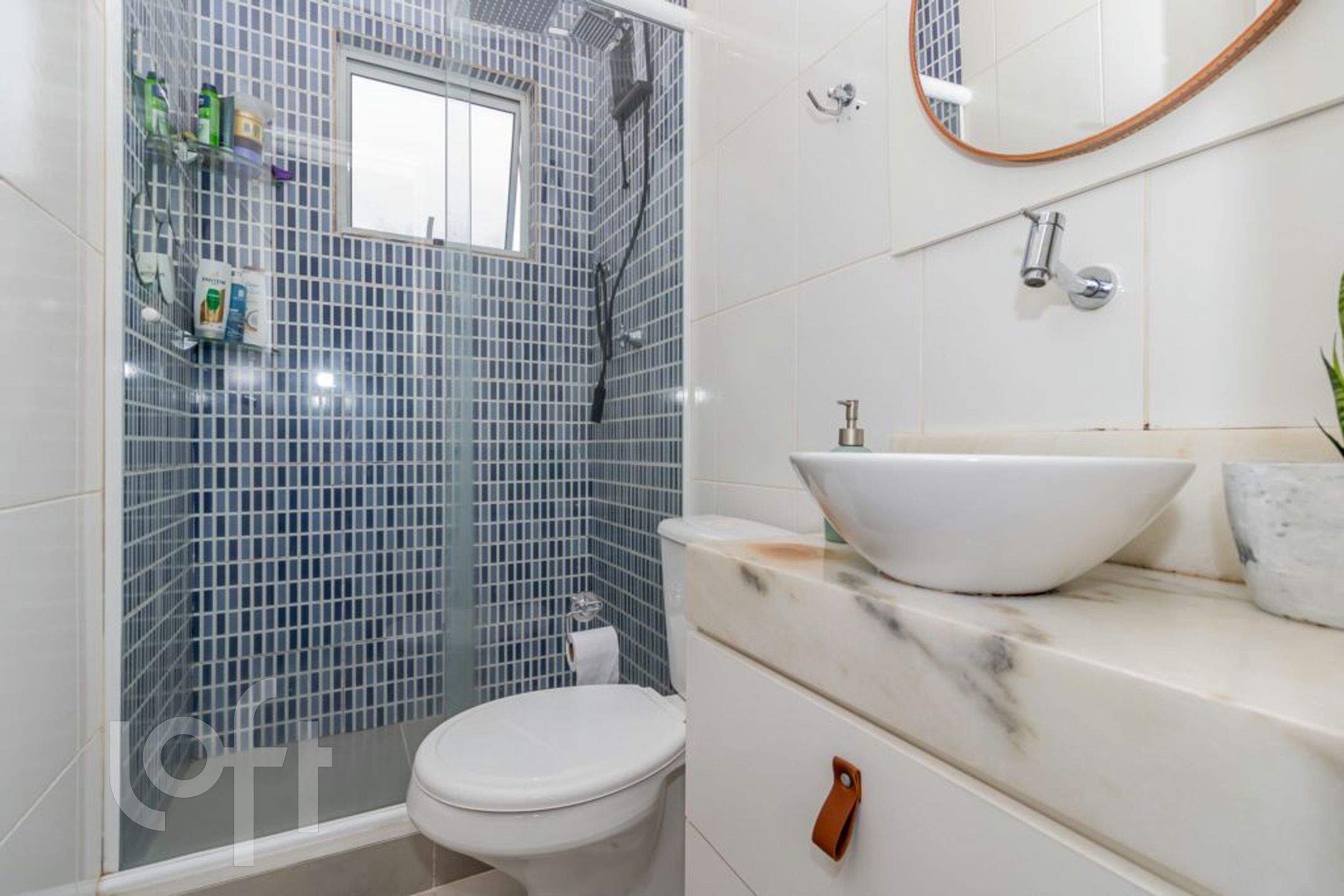 Imagem da propriedade 11