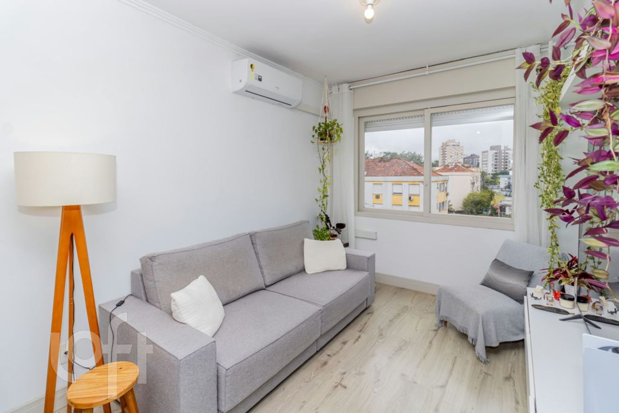 Imagem da propriedade 3