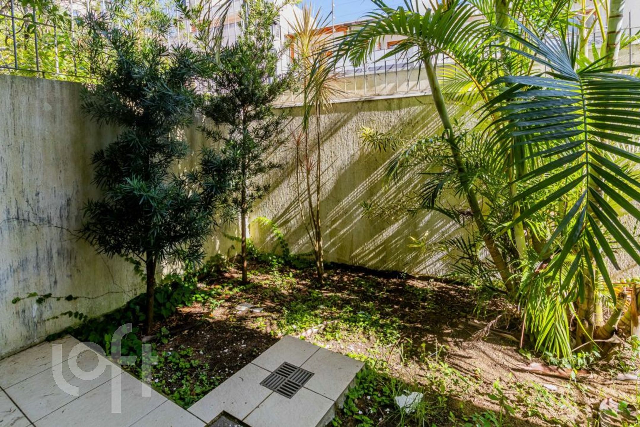 Imagem da propriedade 32