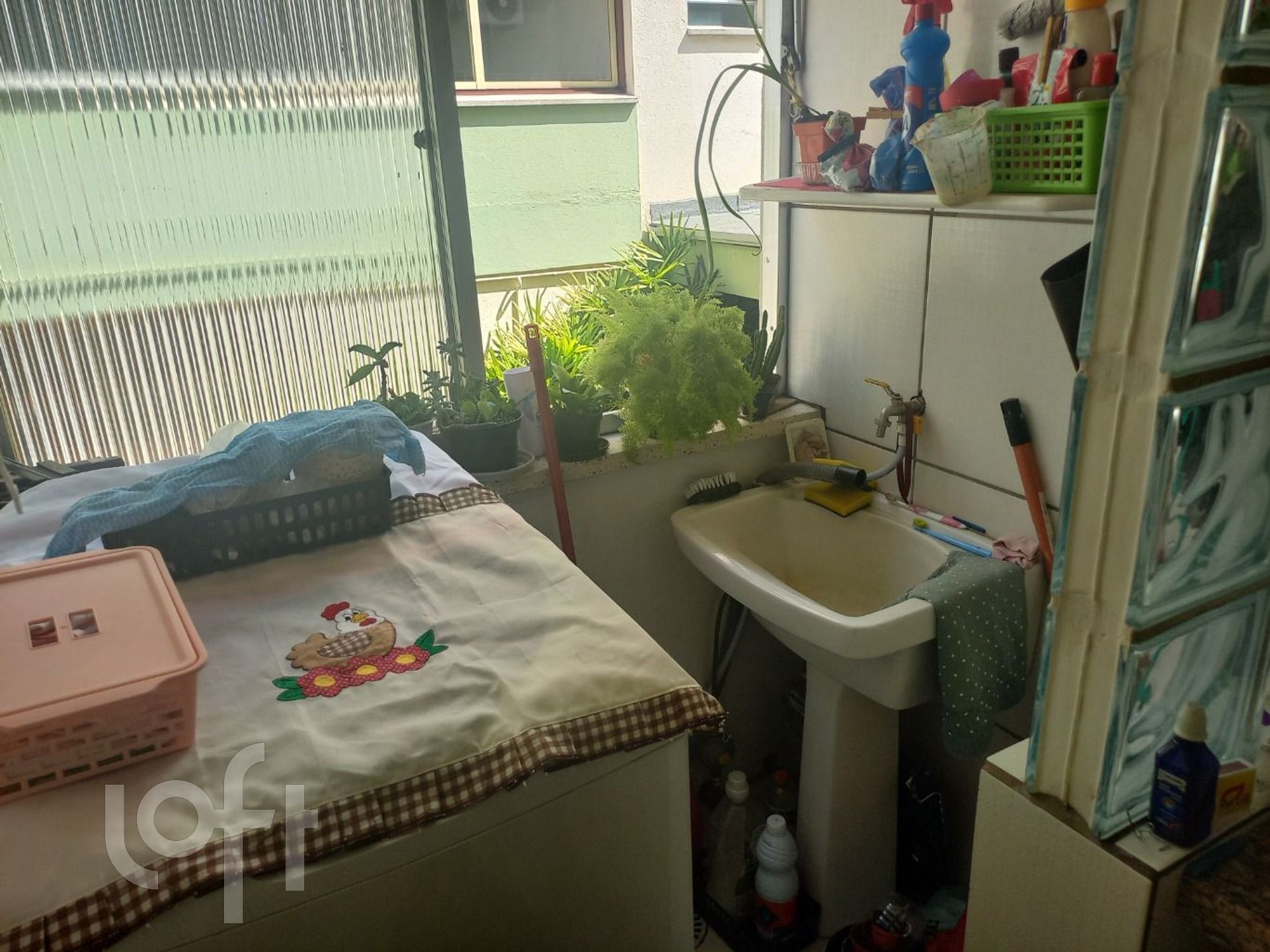 Imagem da propriedade 8