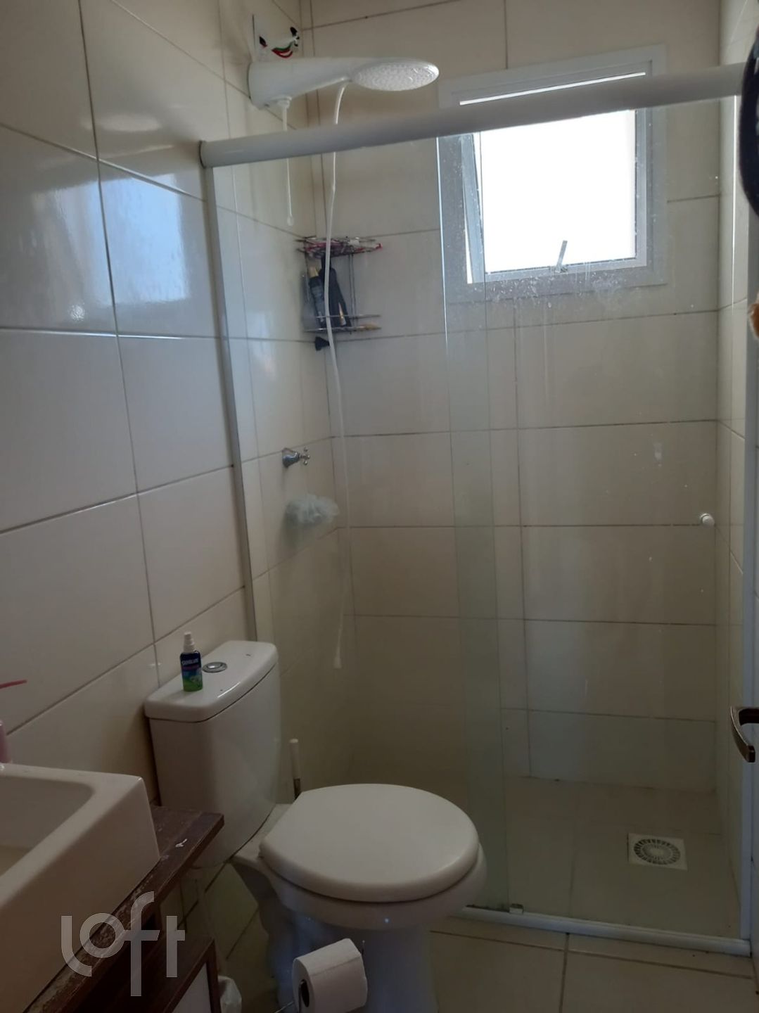 Imagem da propriedade 12