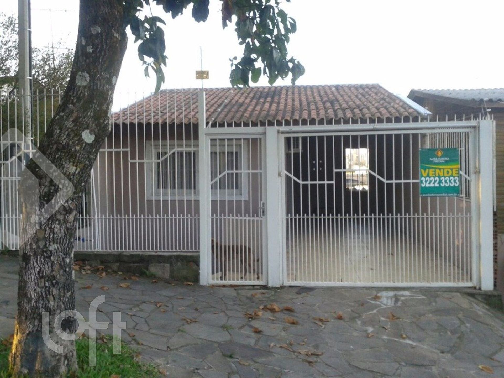 Imagem da propriedade 3