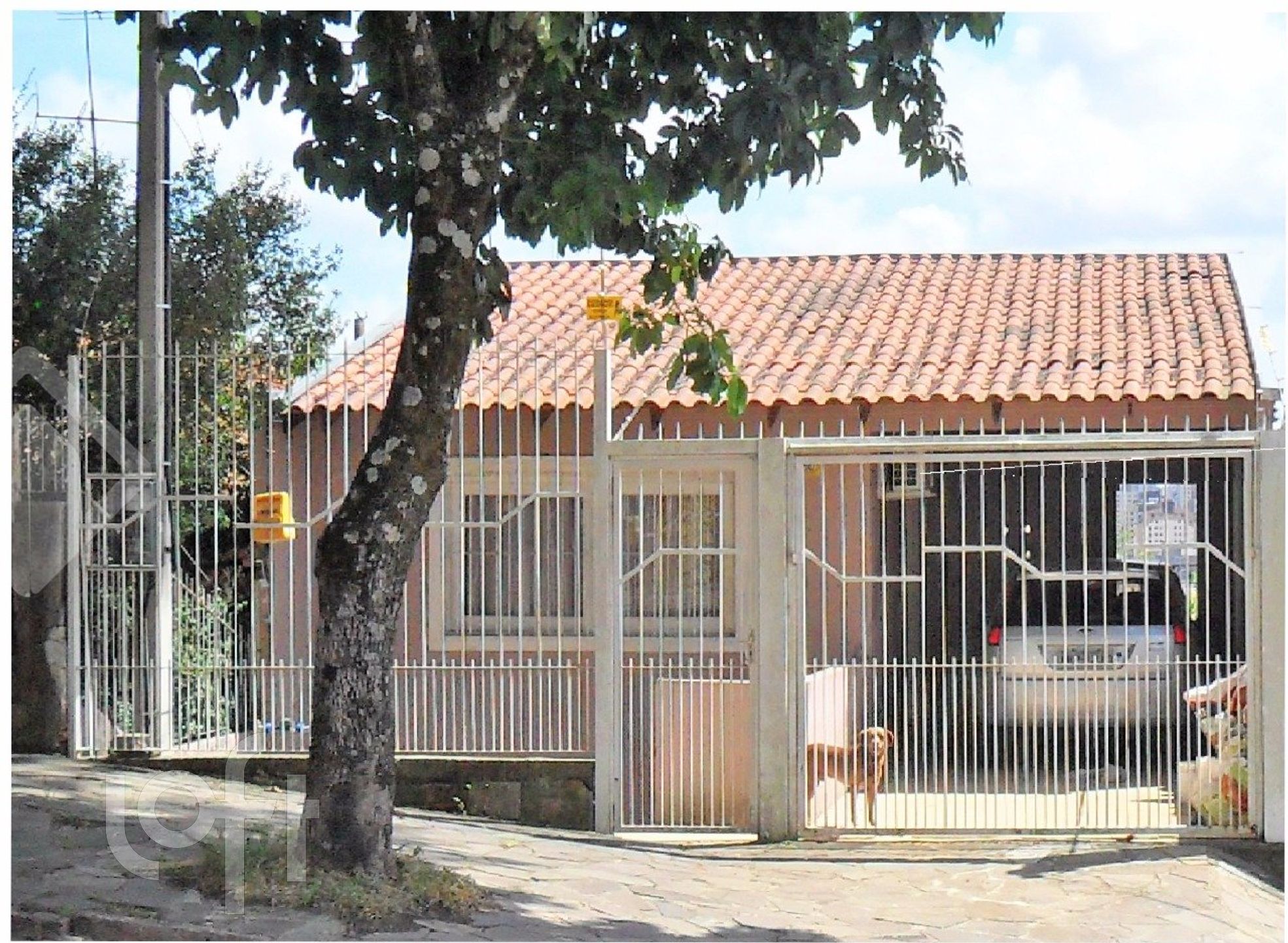 Imagem da propriedade 31