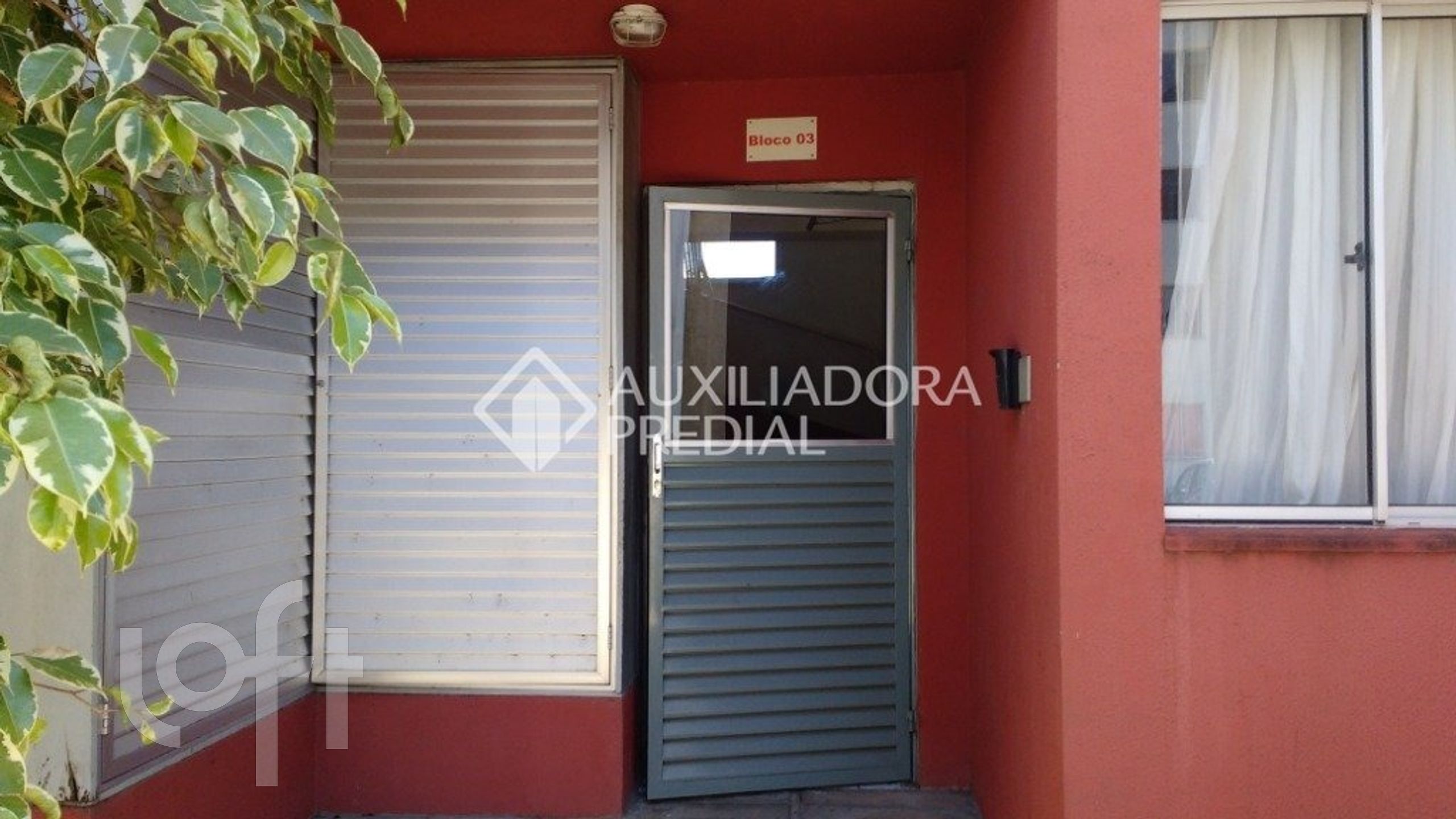 Imagem da propriedade 3