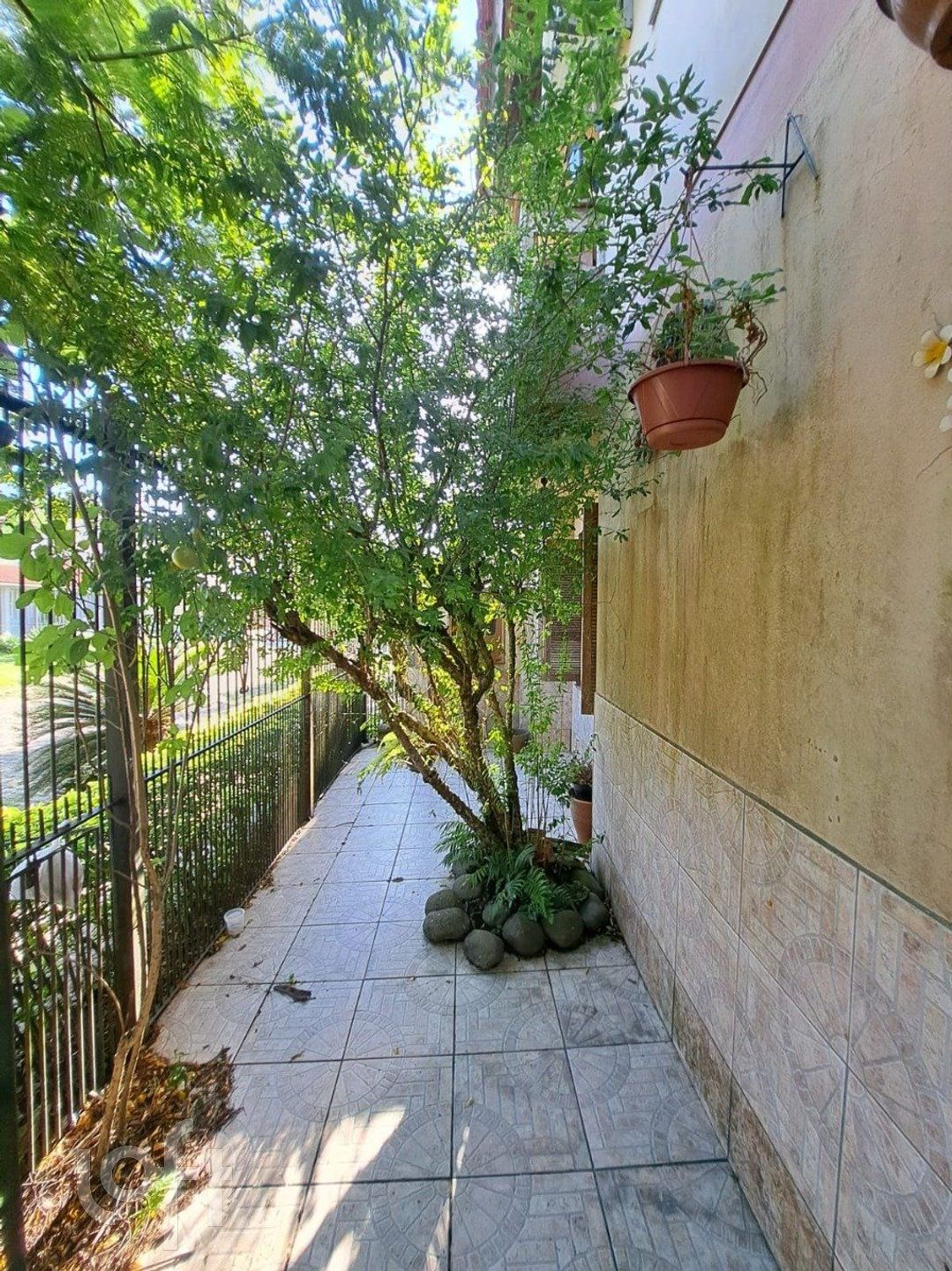 Imagem da propriedade 39