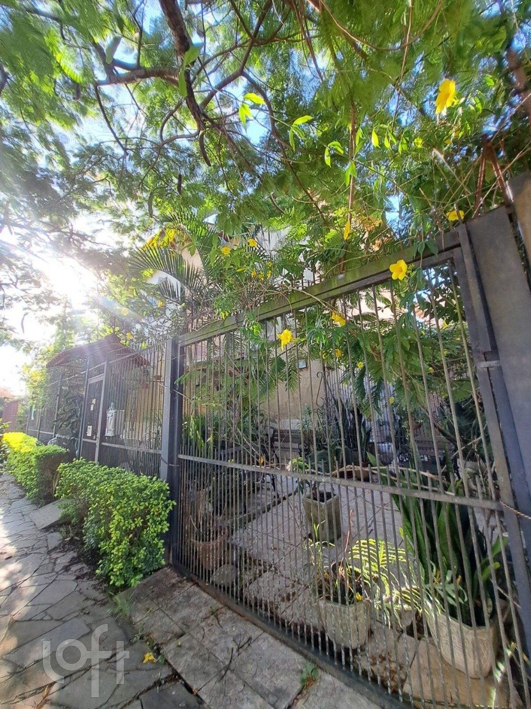 Imagem da propriedade 41