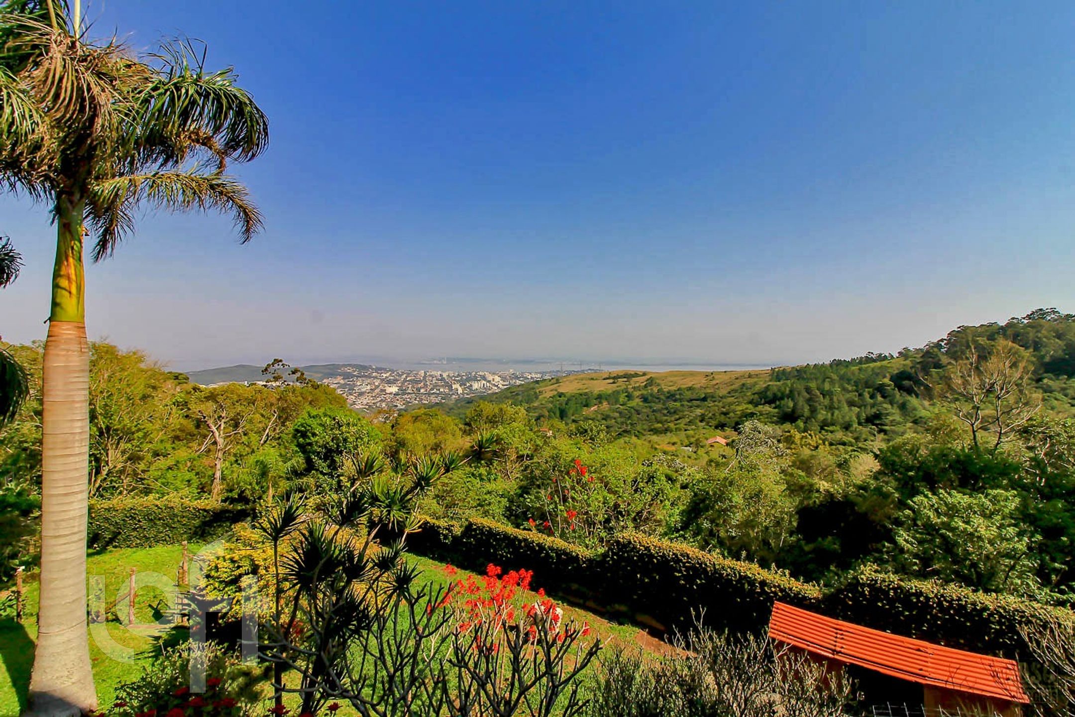 Imagem da propriedade 2