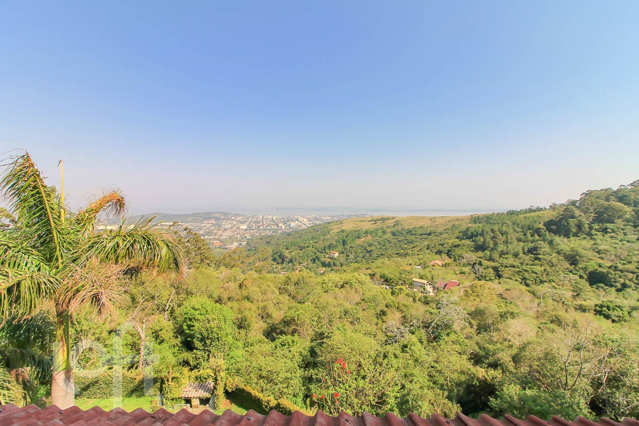 Imagem da propriedade 29