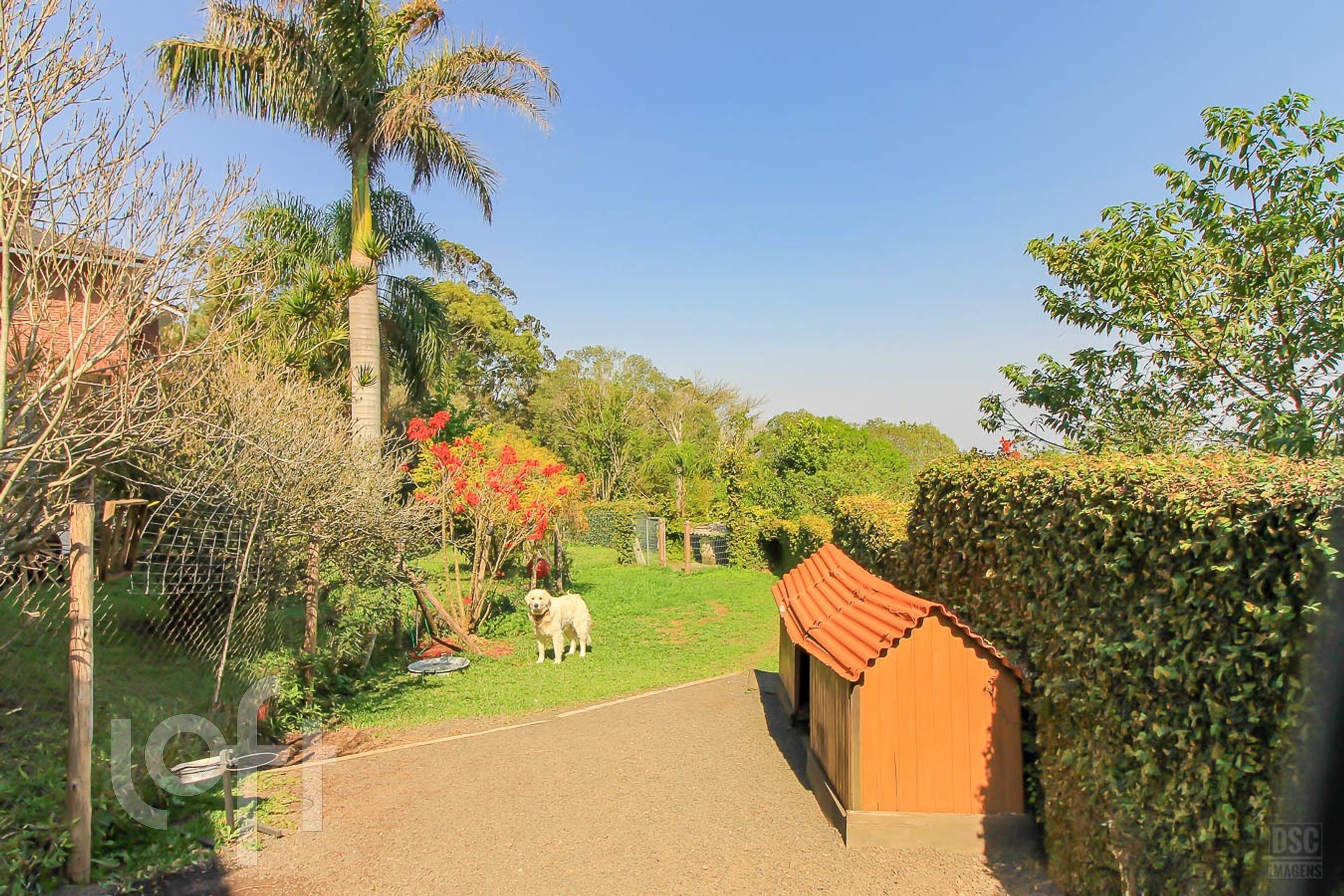 Imagem da propriedade 38