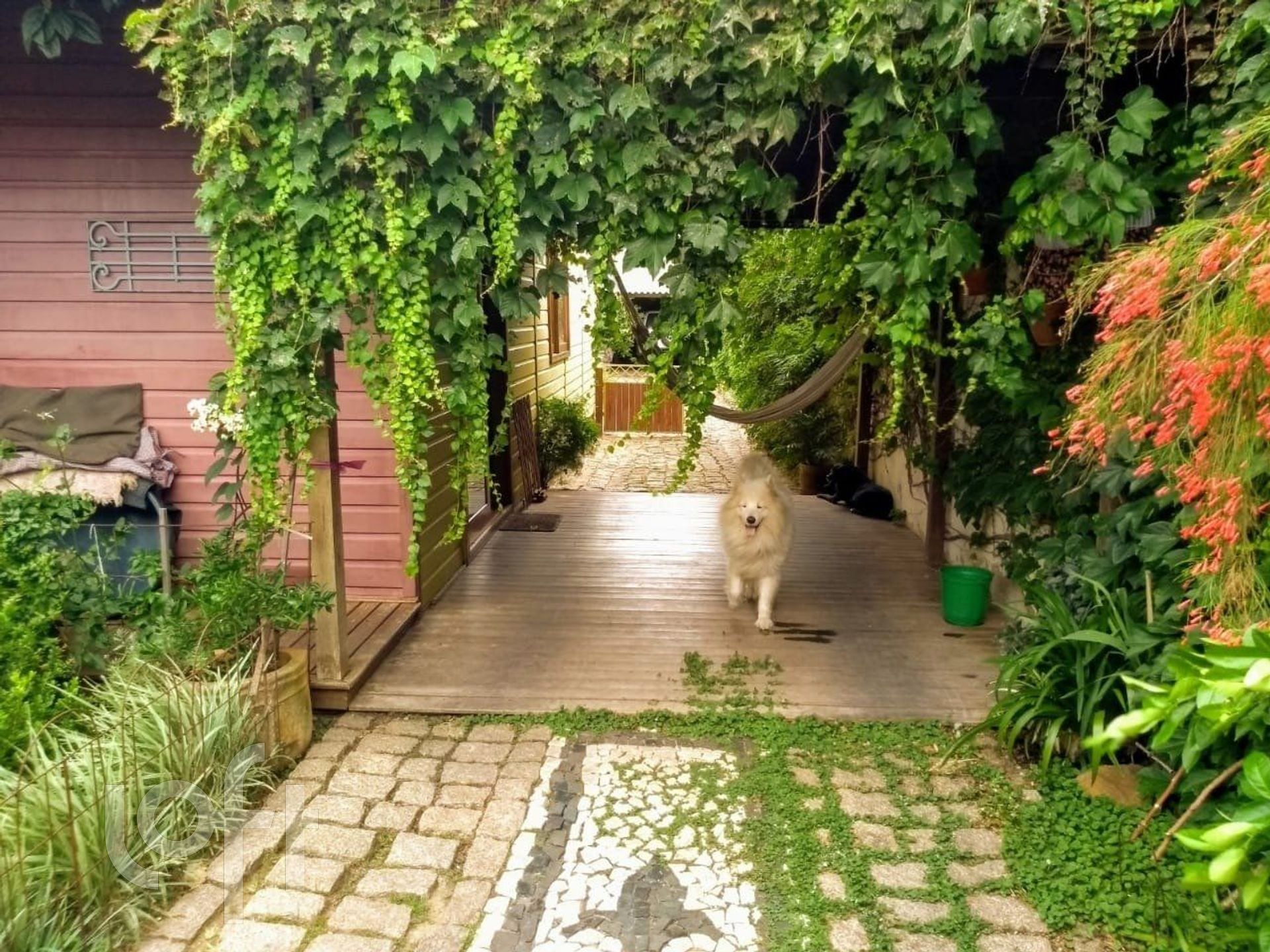 Imagem da propriedade 6