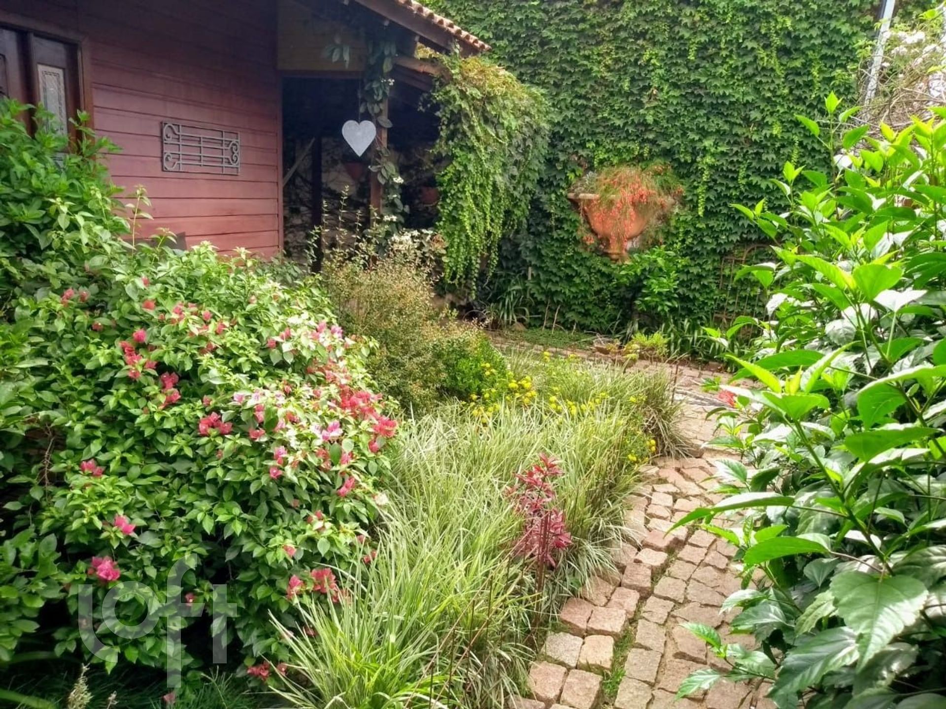 Imagem da propriedade 12