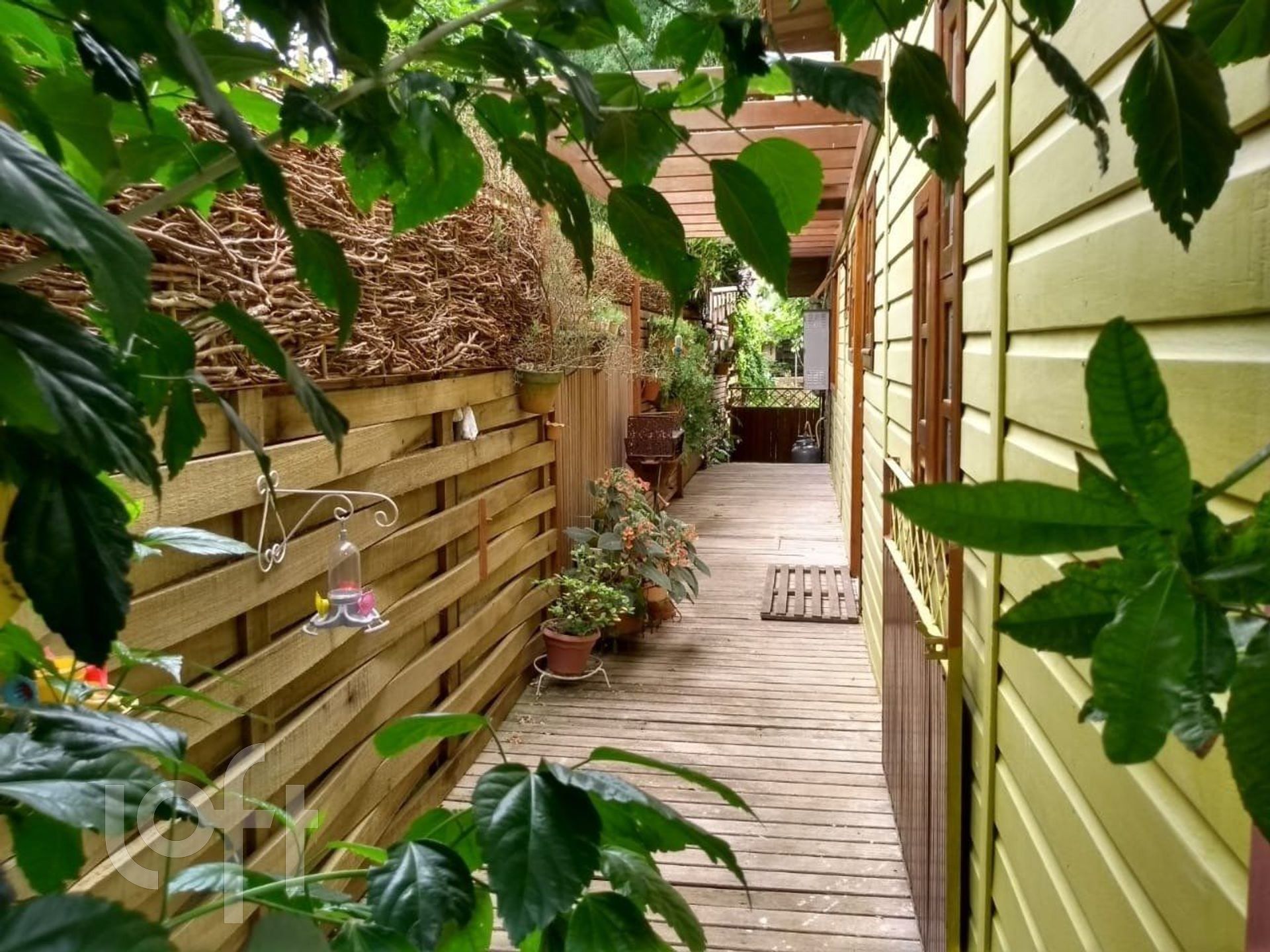 Imagem da propriedade 13