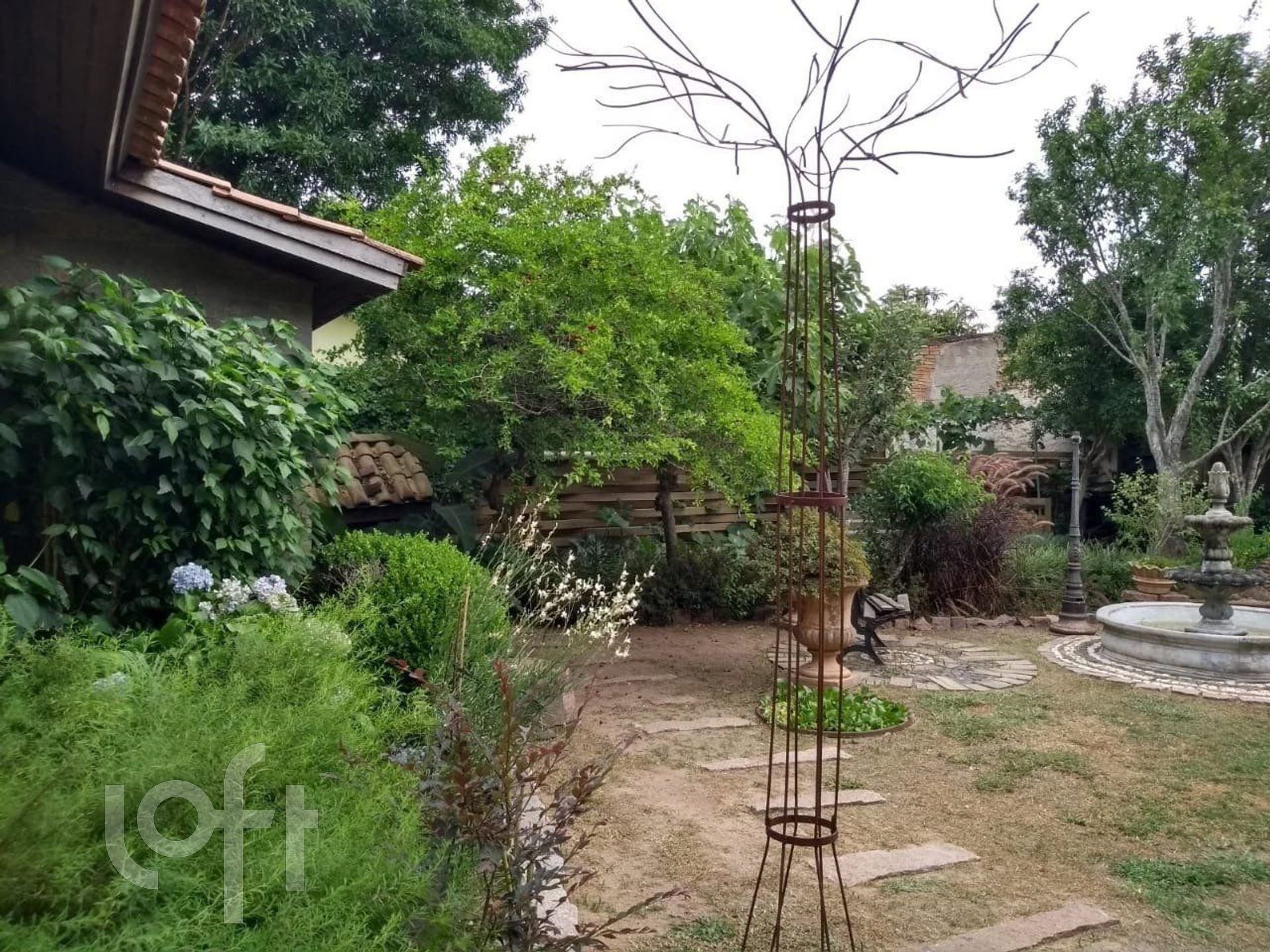 Imagem da propriedade 36