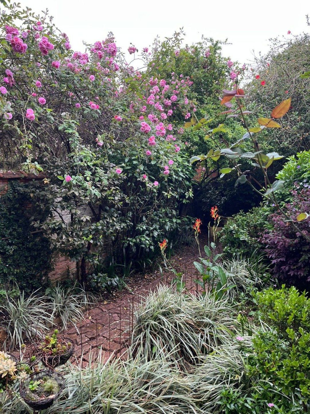 Imagem da propriedade 45