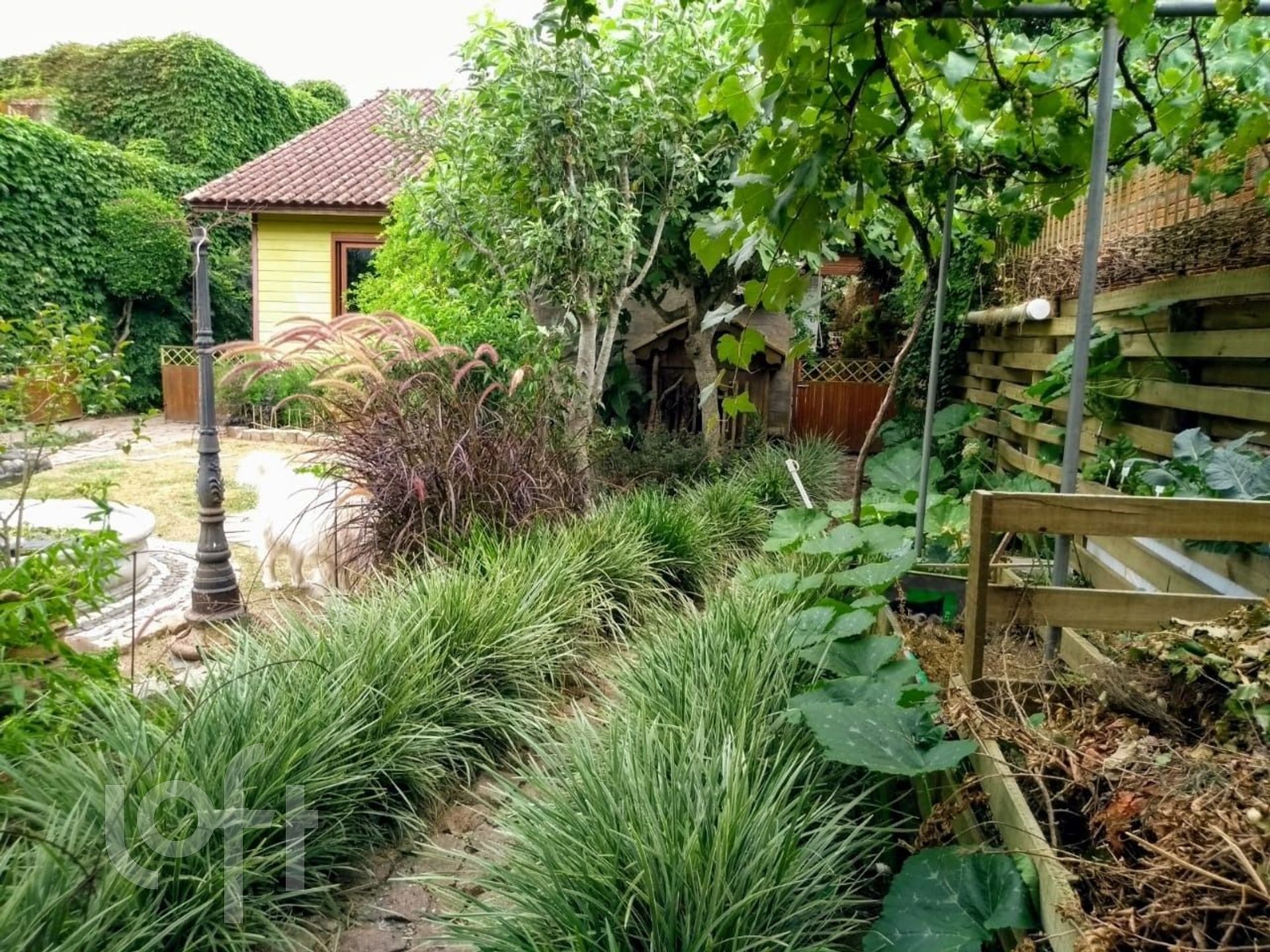 Imagem da propriedade 40