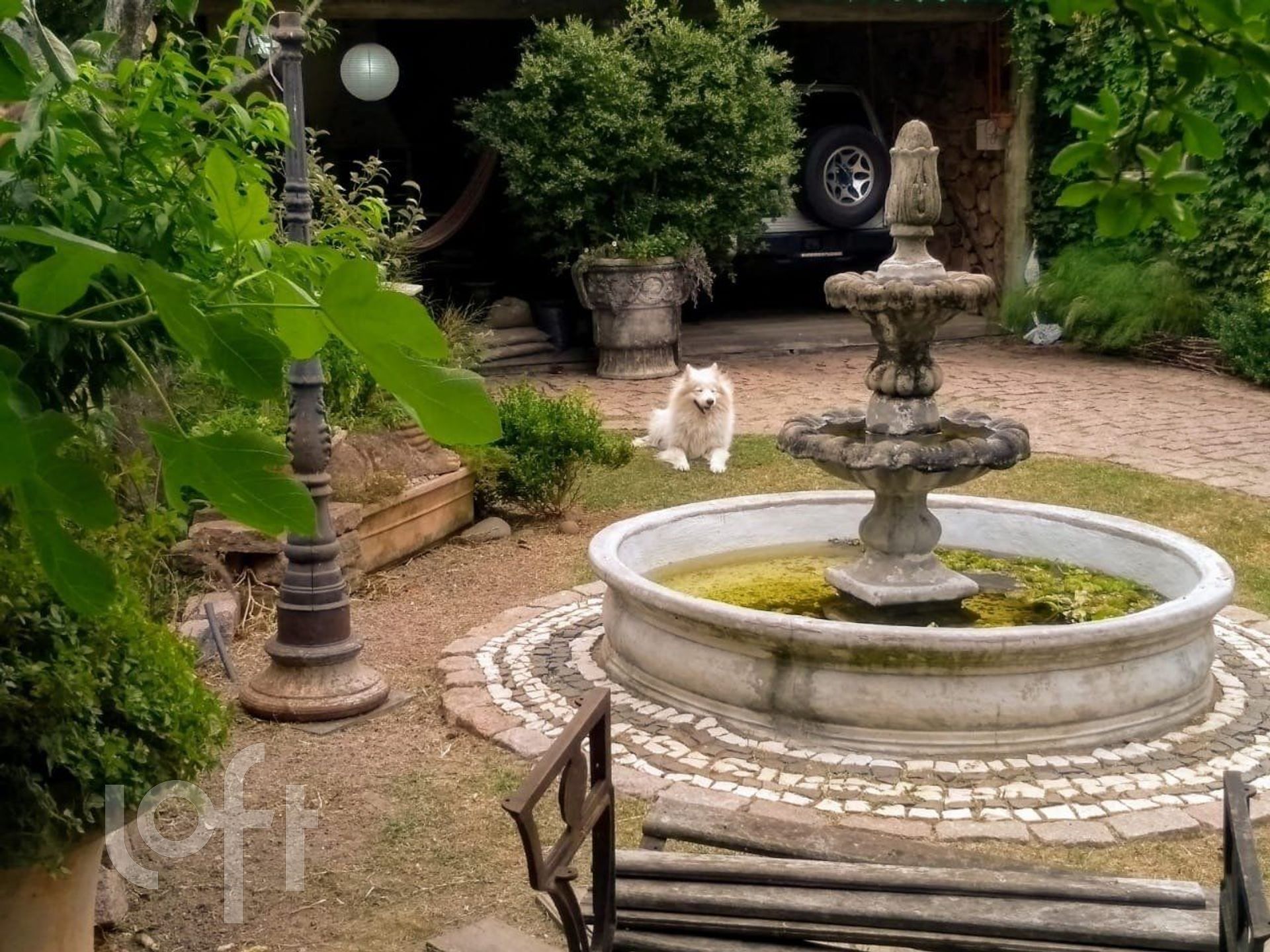 Imagem da propriedade 37