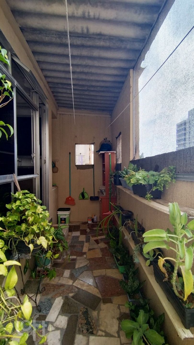 Imagem da propriedade 19